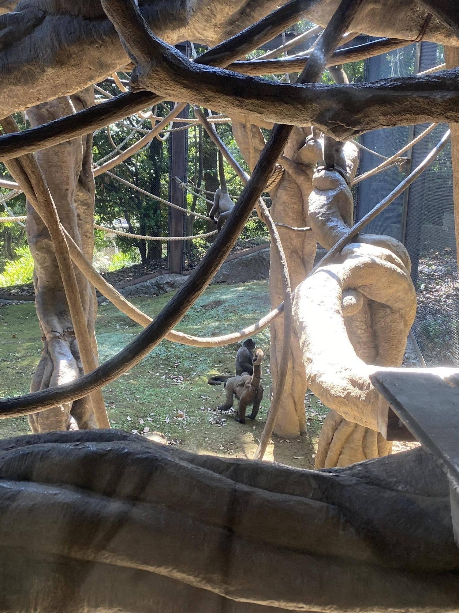 全頭そろいました！７