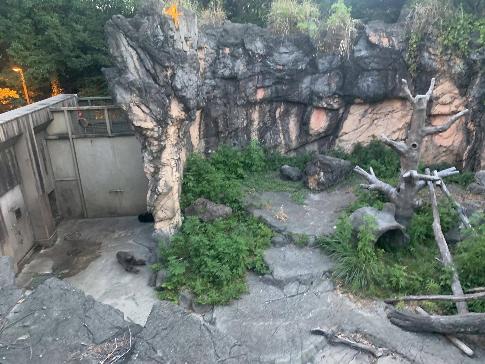 おメガネにかなわず9 (2).jpg