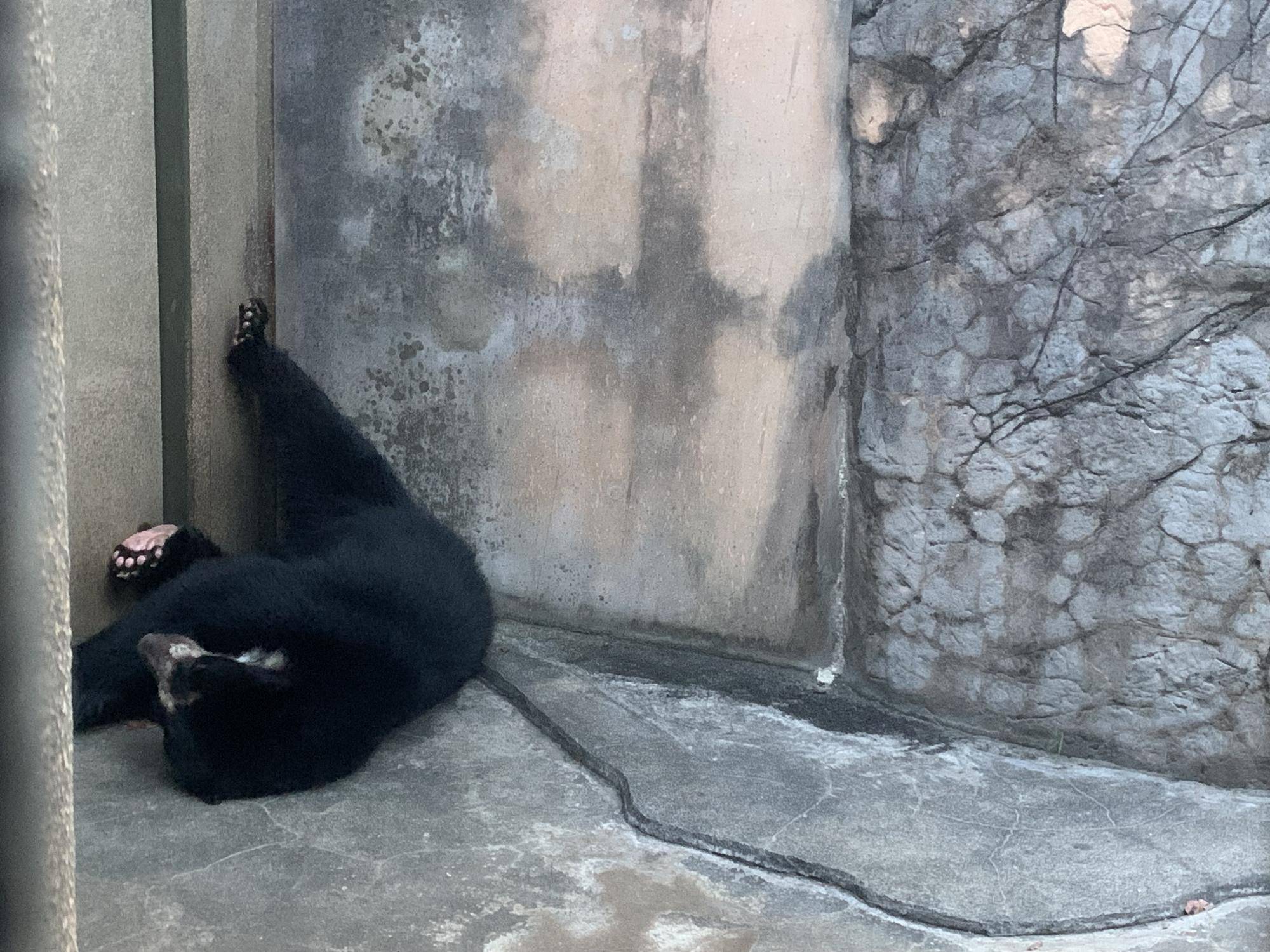 おメガネにかなわず9 (1).jpg