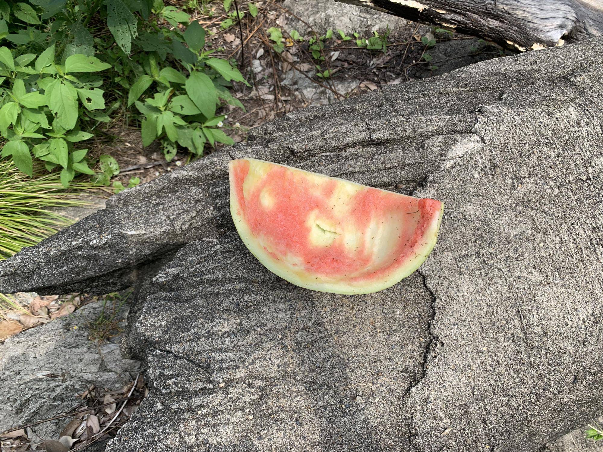 おメガネにかなわず7 (2).jpg