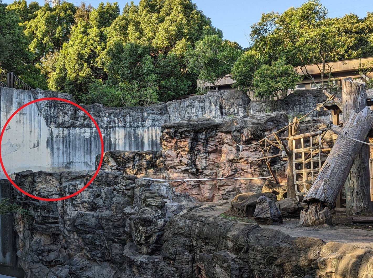 完成　左 ２.jpg