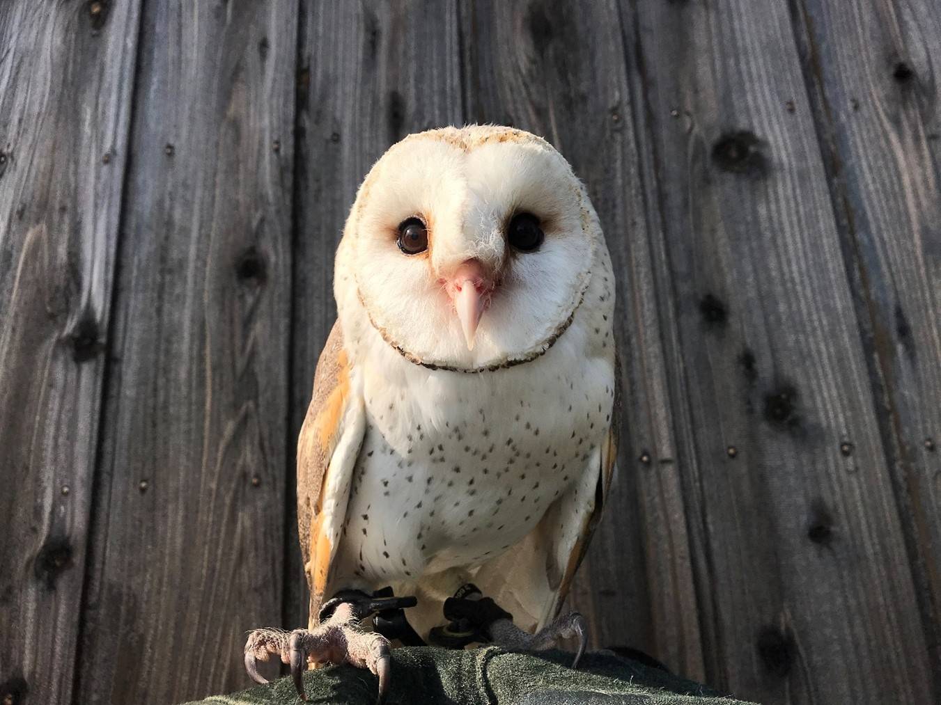 ズラスク第2回　３