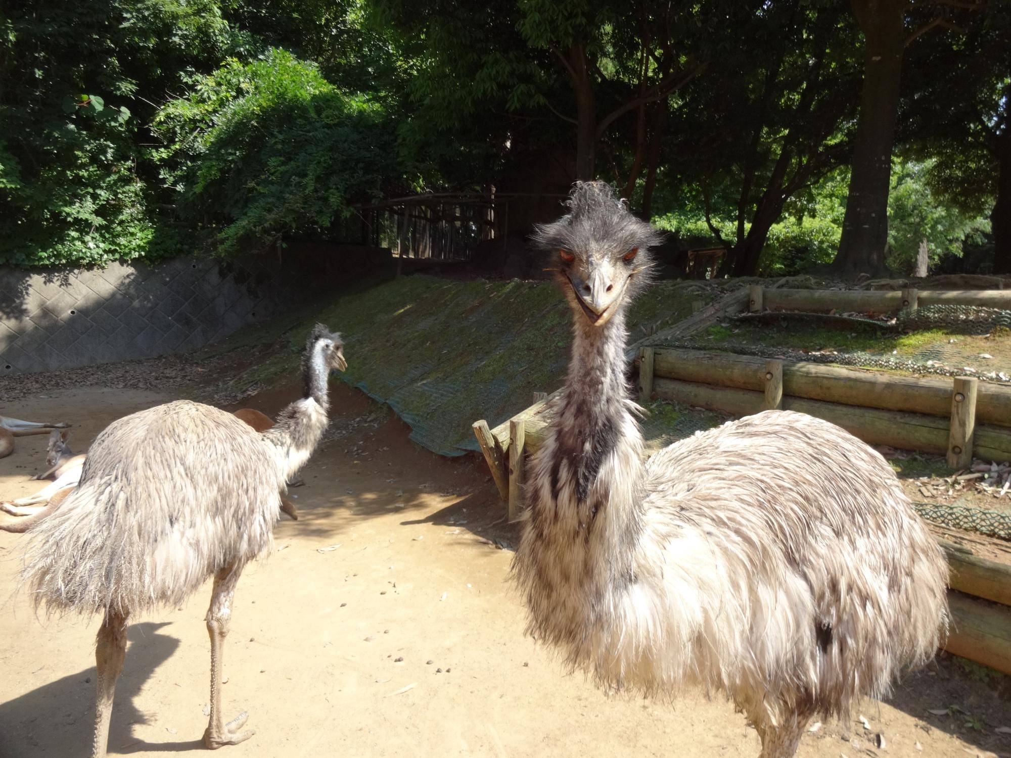 ズラスク第2回　２