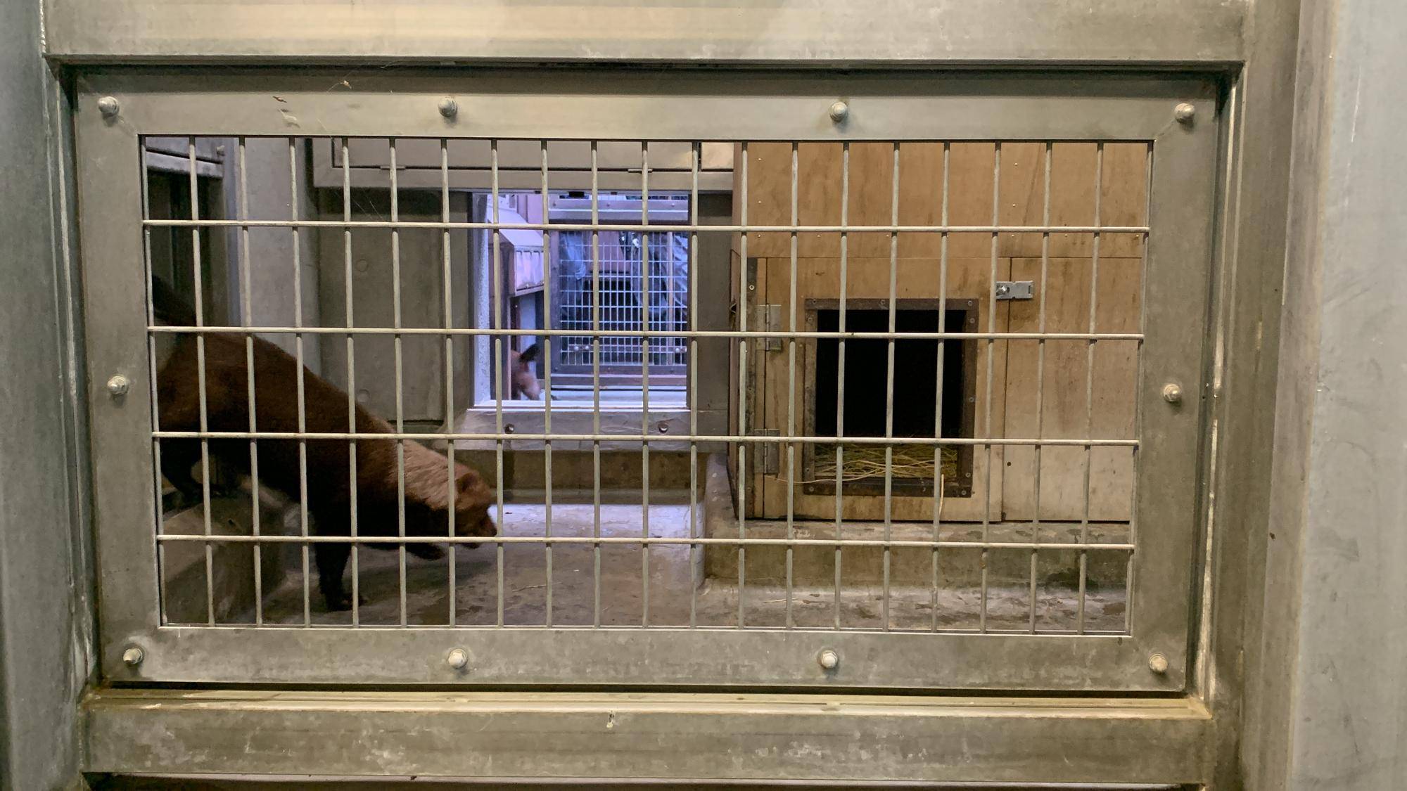 久しぶりの同居！②