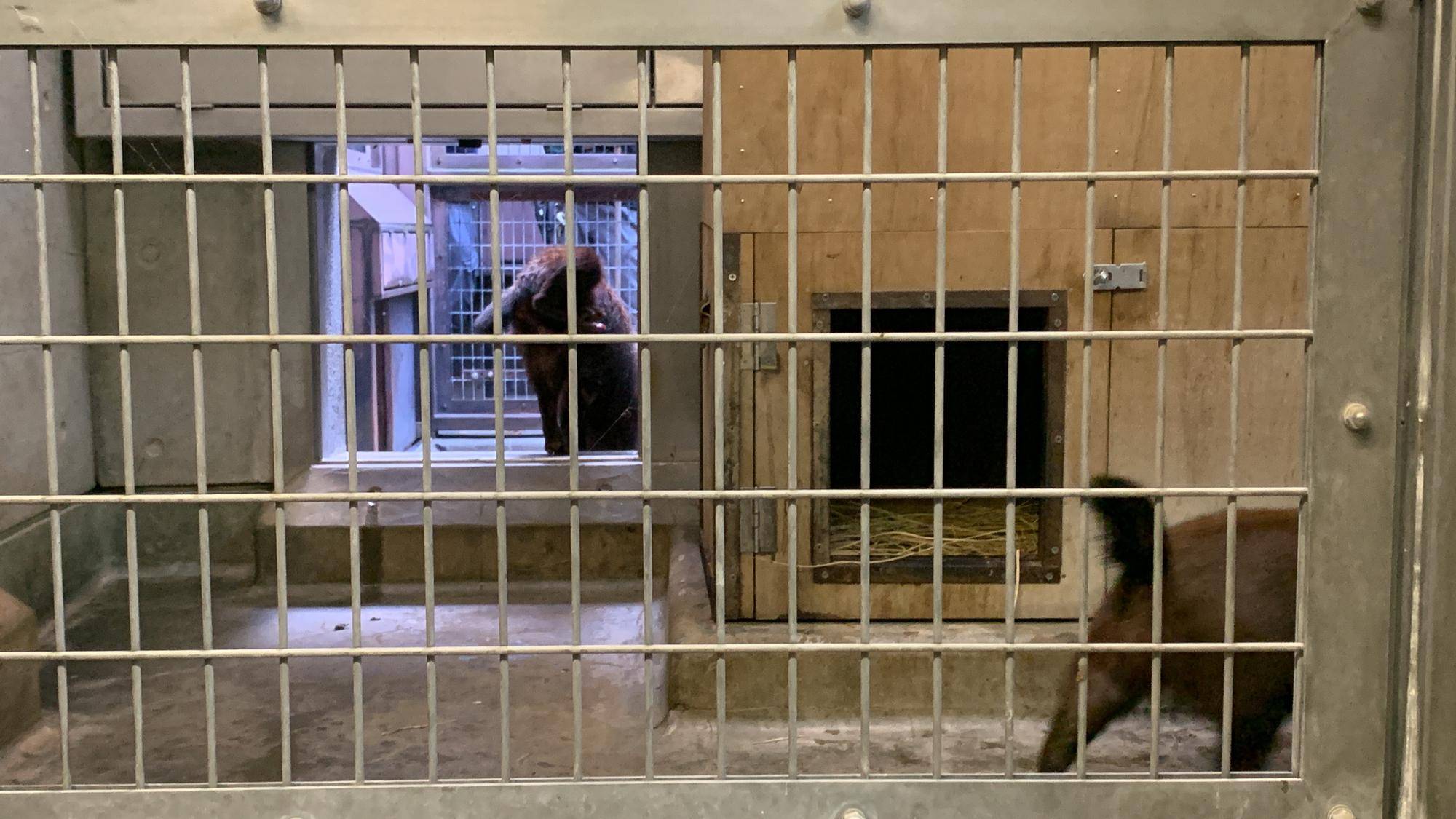 久しぶりの同居！③