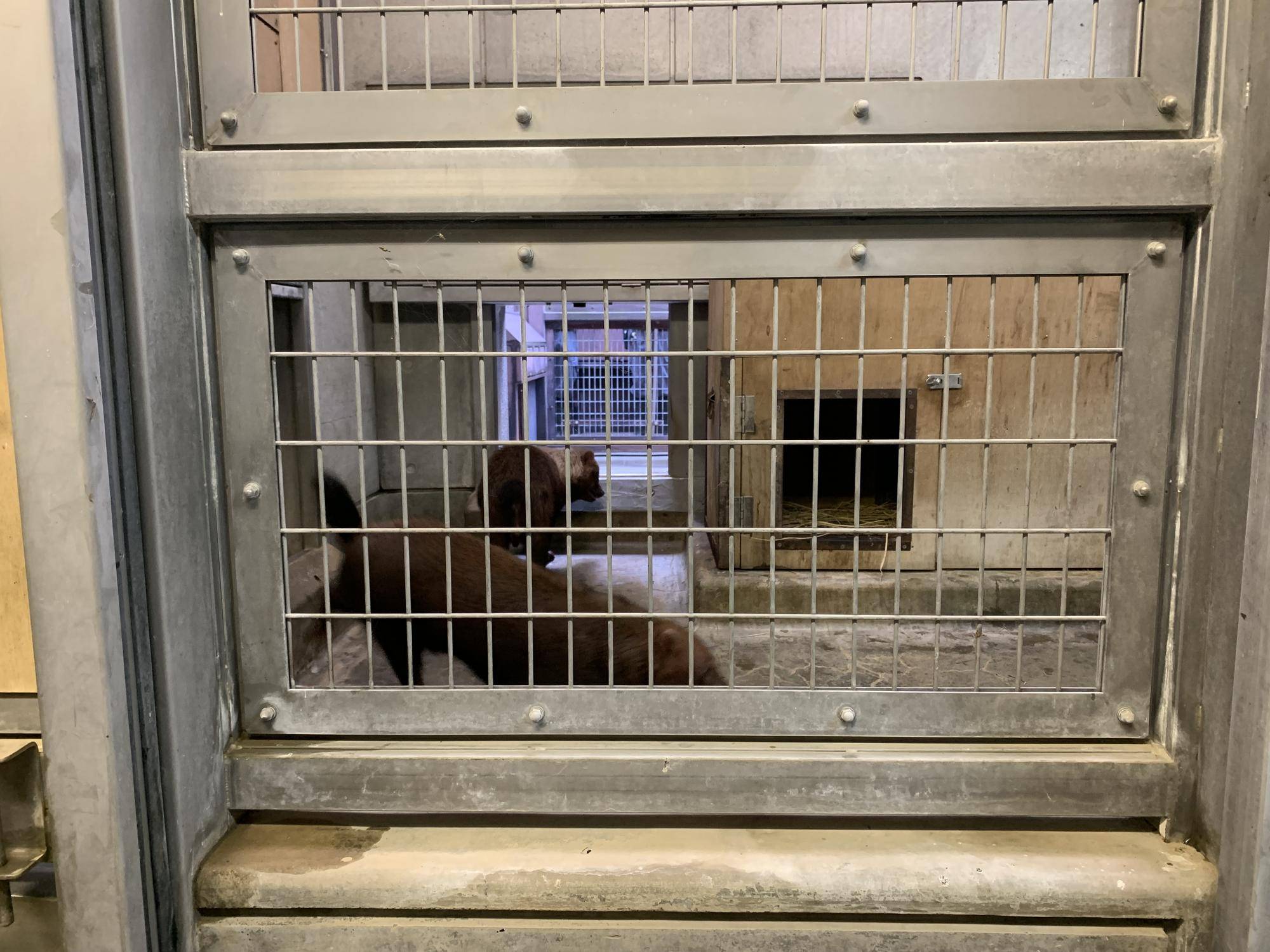 久しぶりの同居！⑥