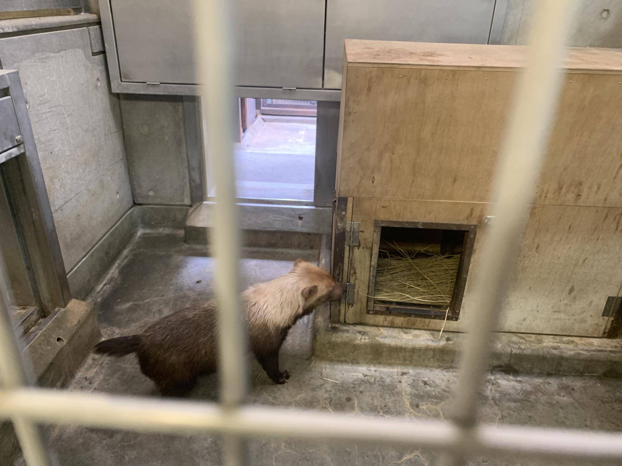 久しぶりの同居！④