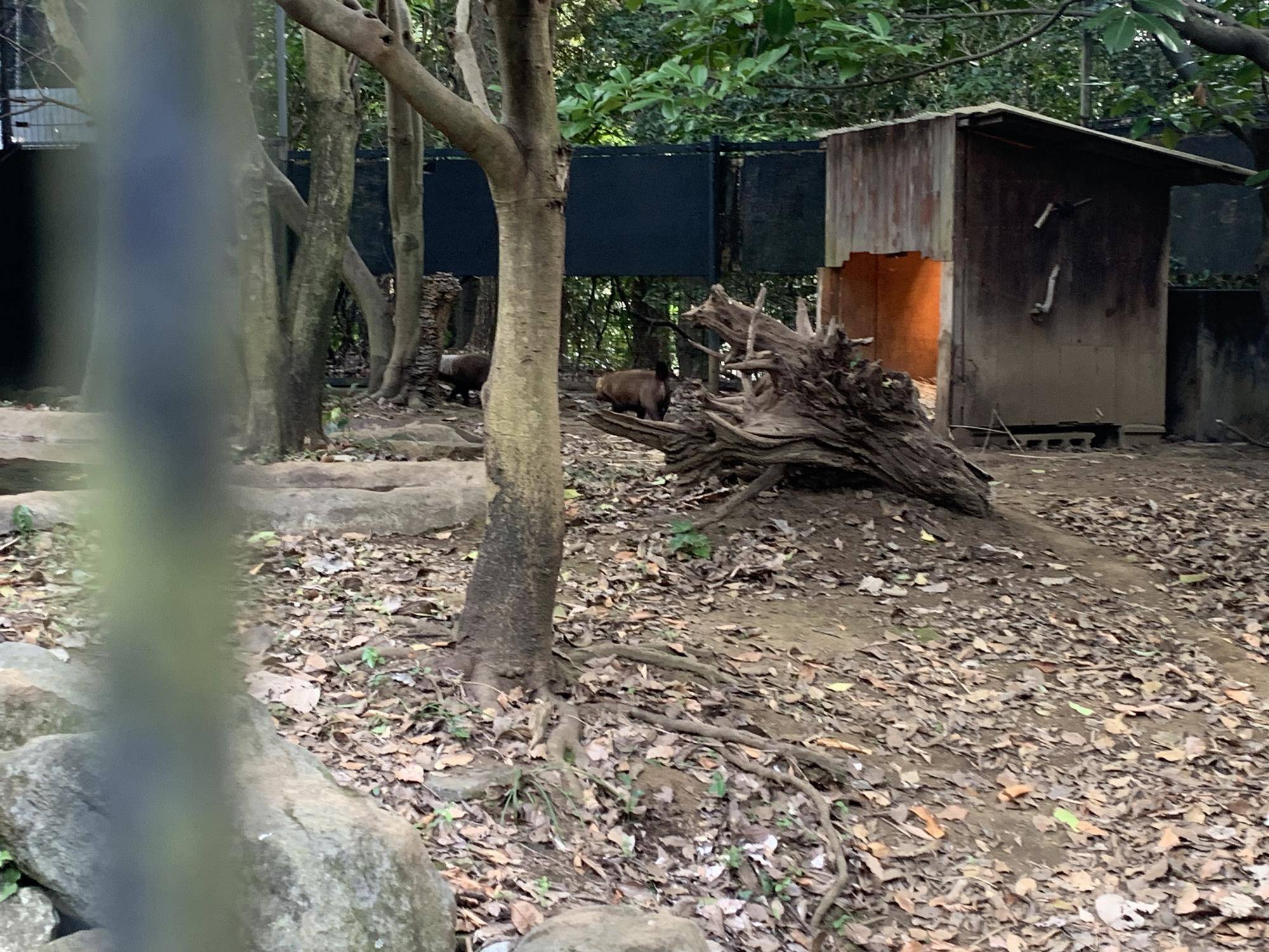 展示同居 3回目 3.jpg