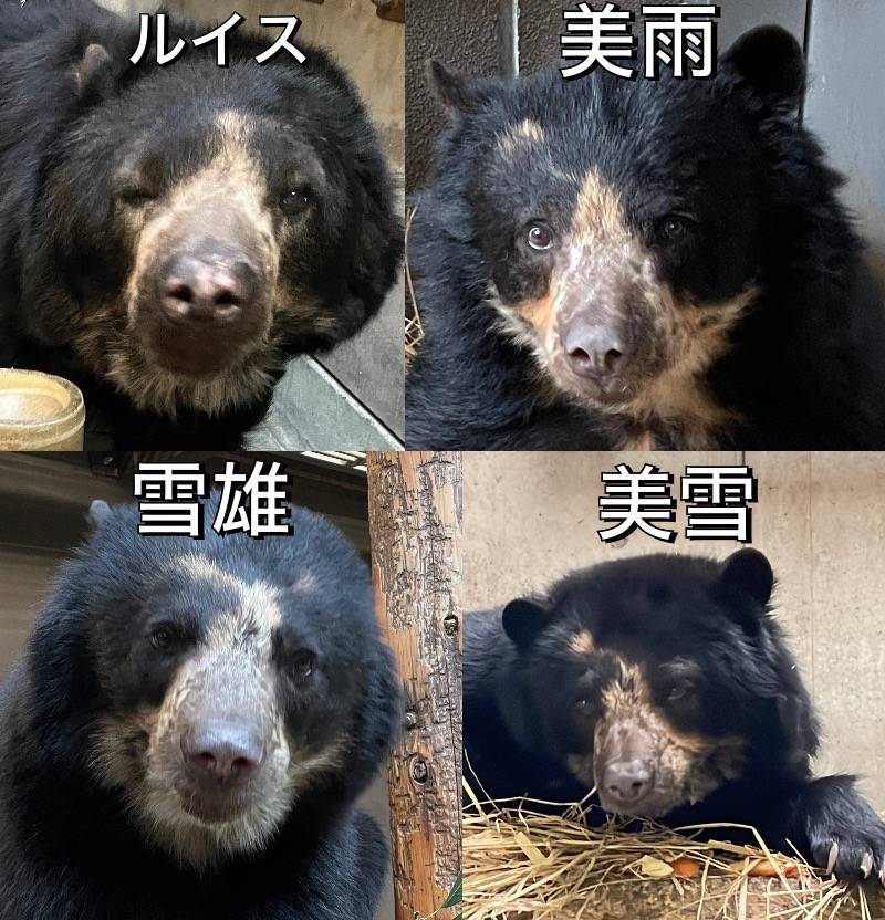 1個体正面.jpg