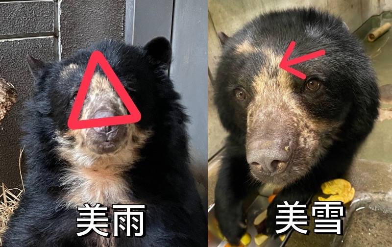 4見分け方.jpg