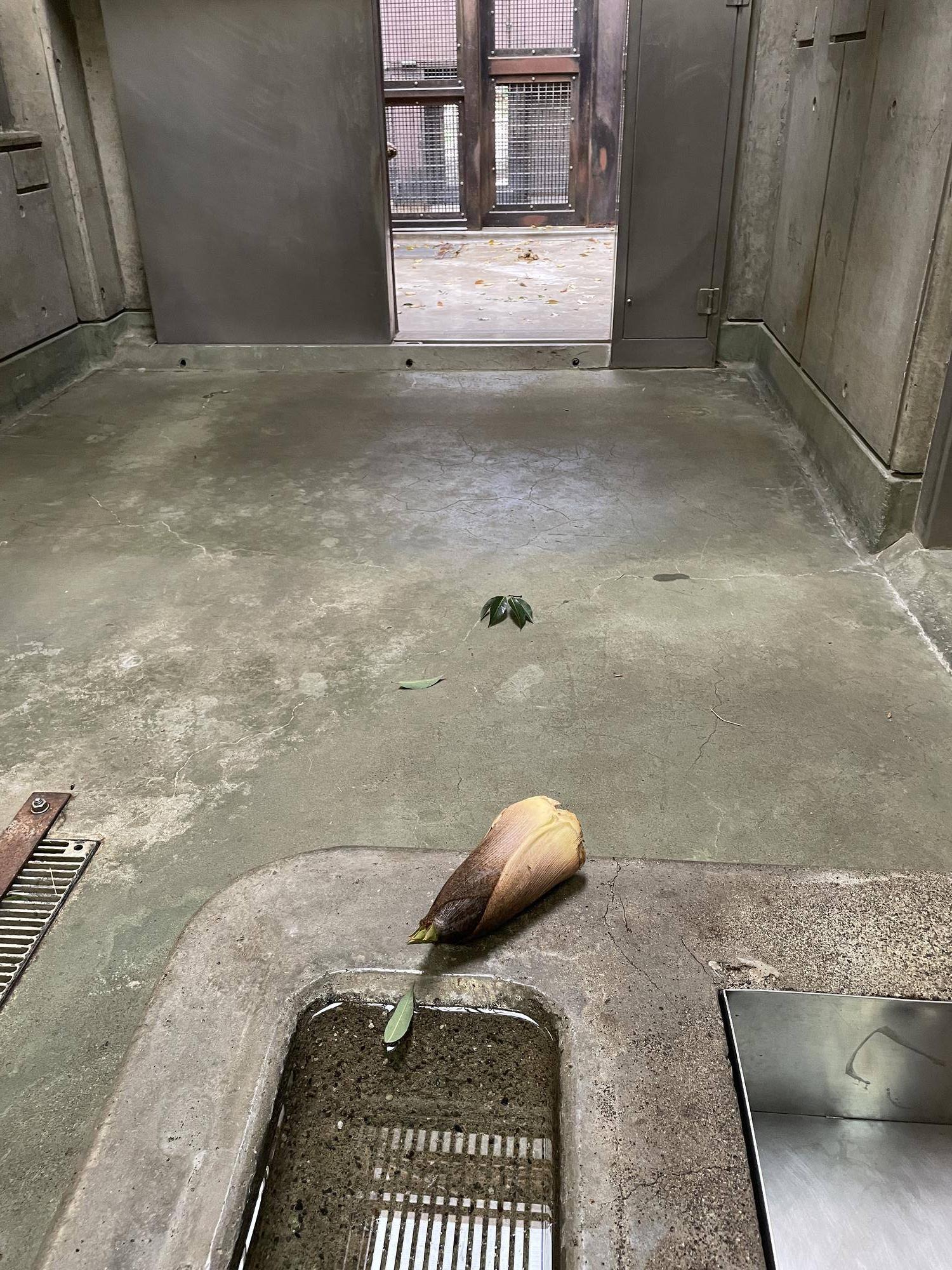 9食べない.jpg