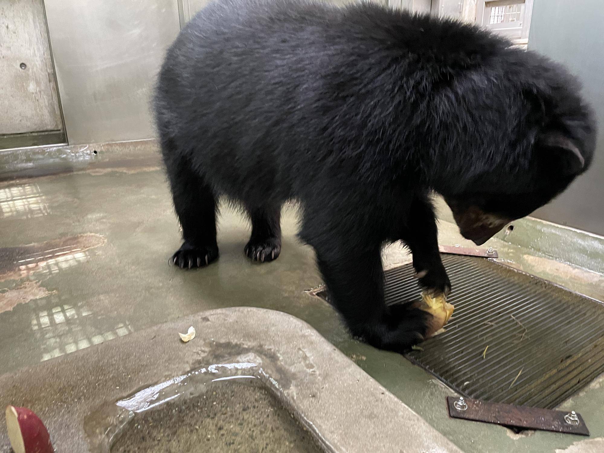 13食べない.jpg