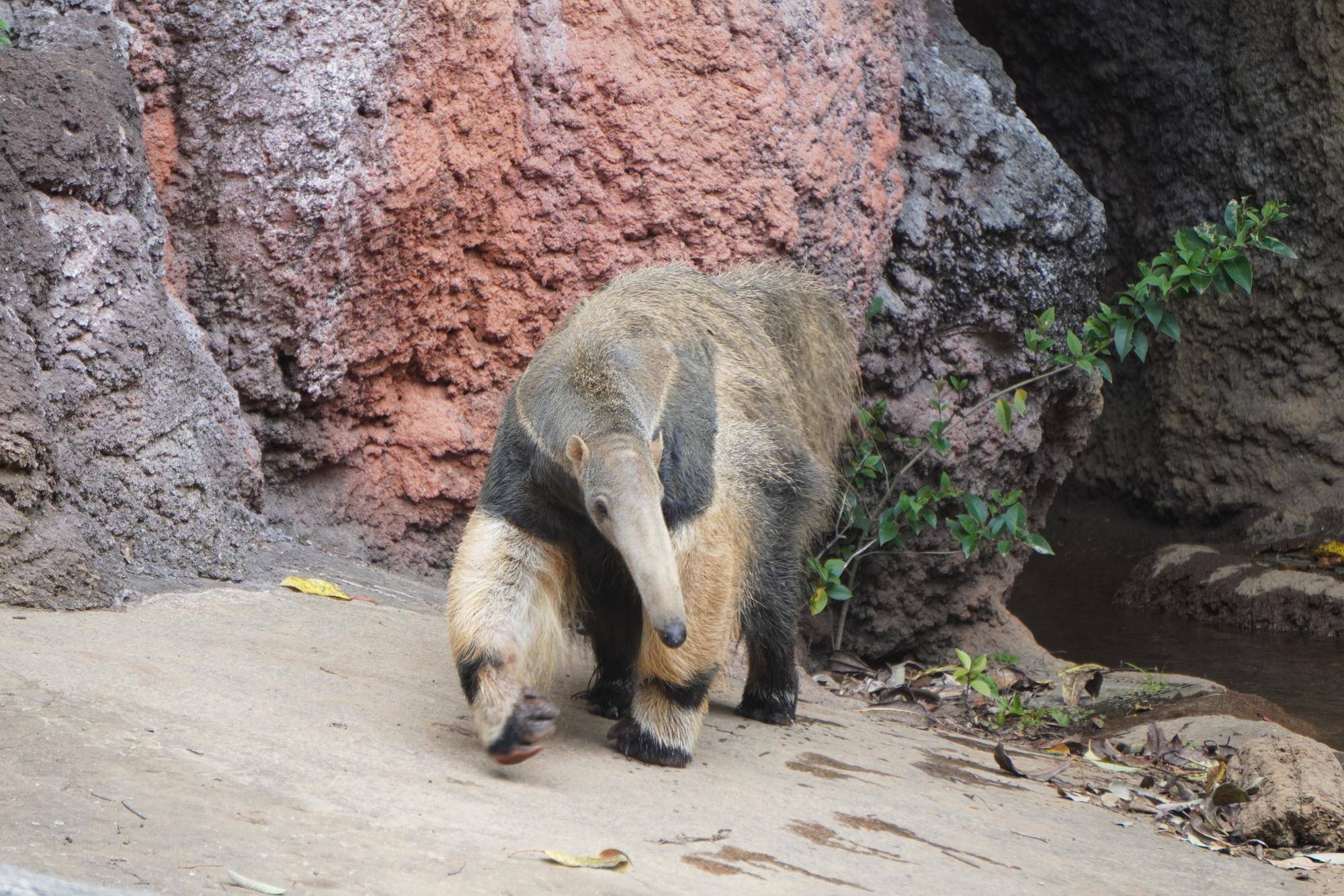 展示場散策サエ