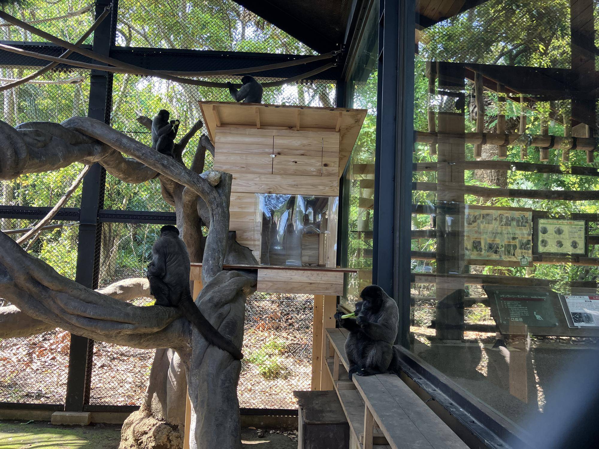 全頭で展示していきます！①