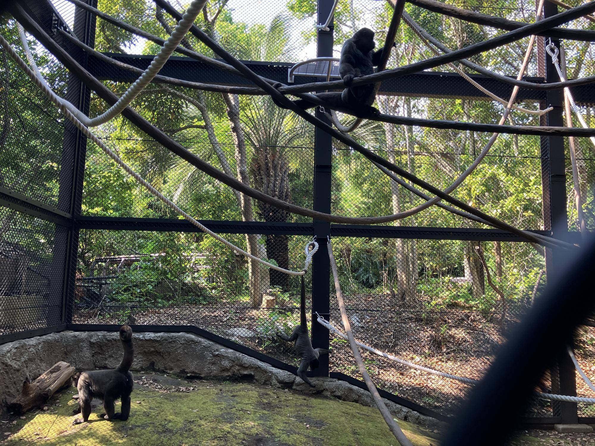 全頭で展示していきます。④