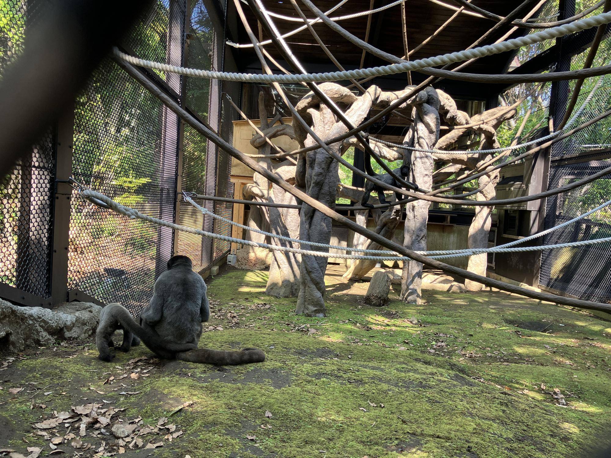 全頭で展示していきます。③