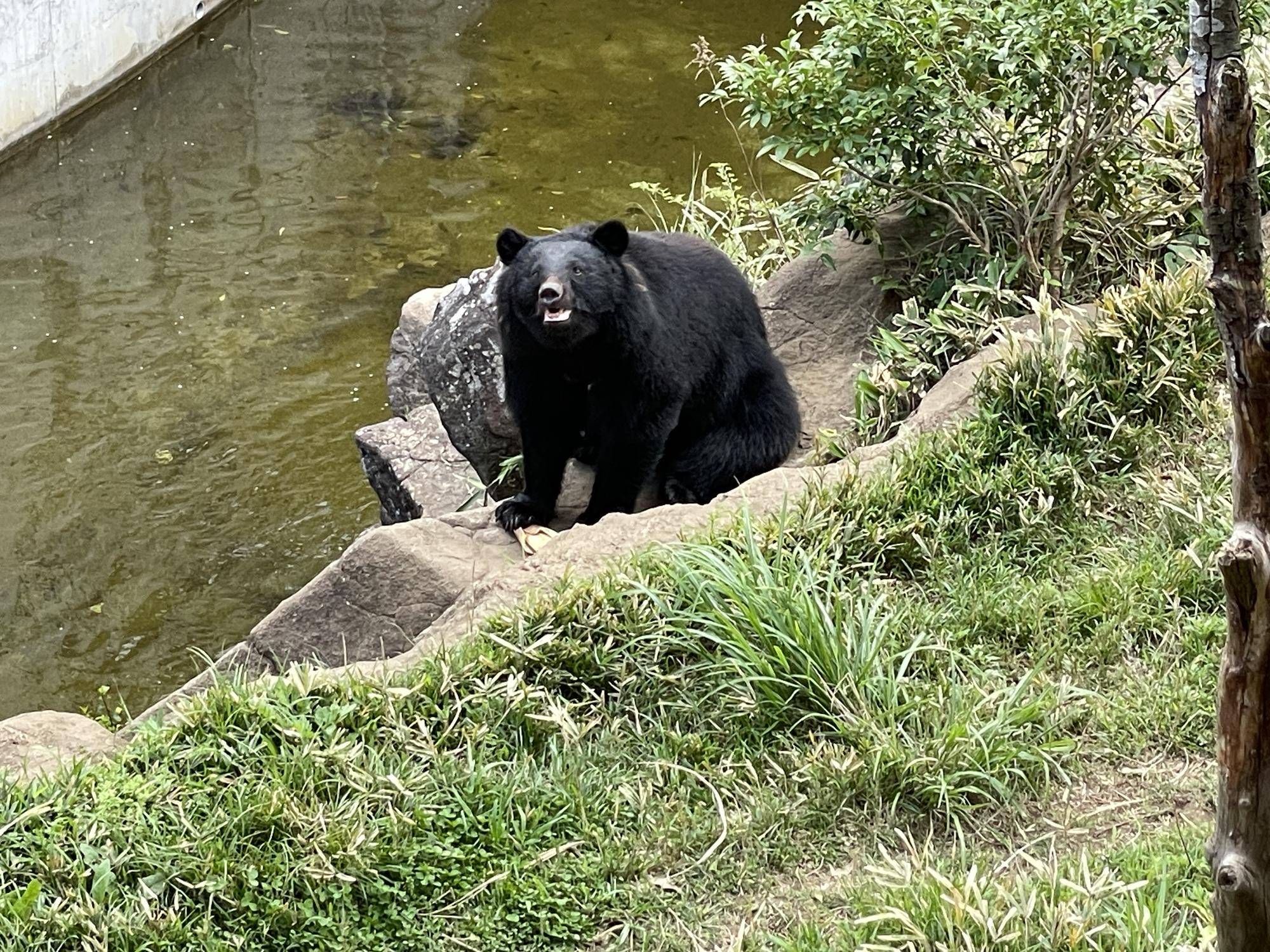 17,5食べた.jpg