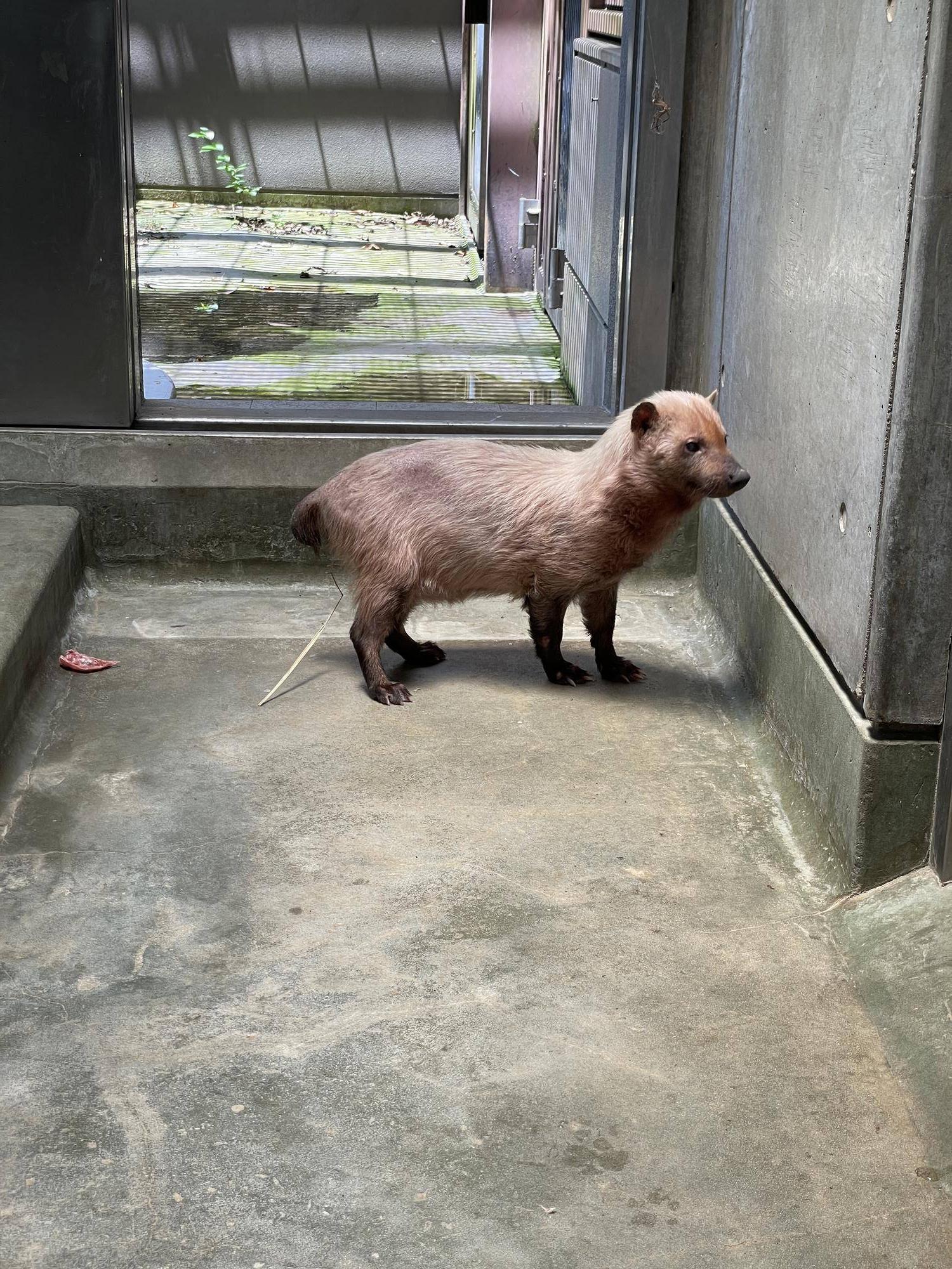 IMG_8524 - コピー.jpg