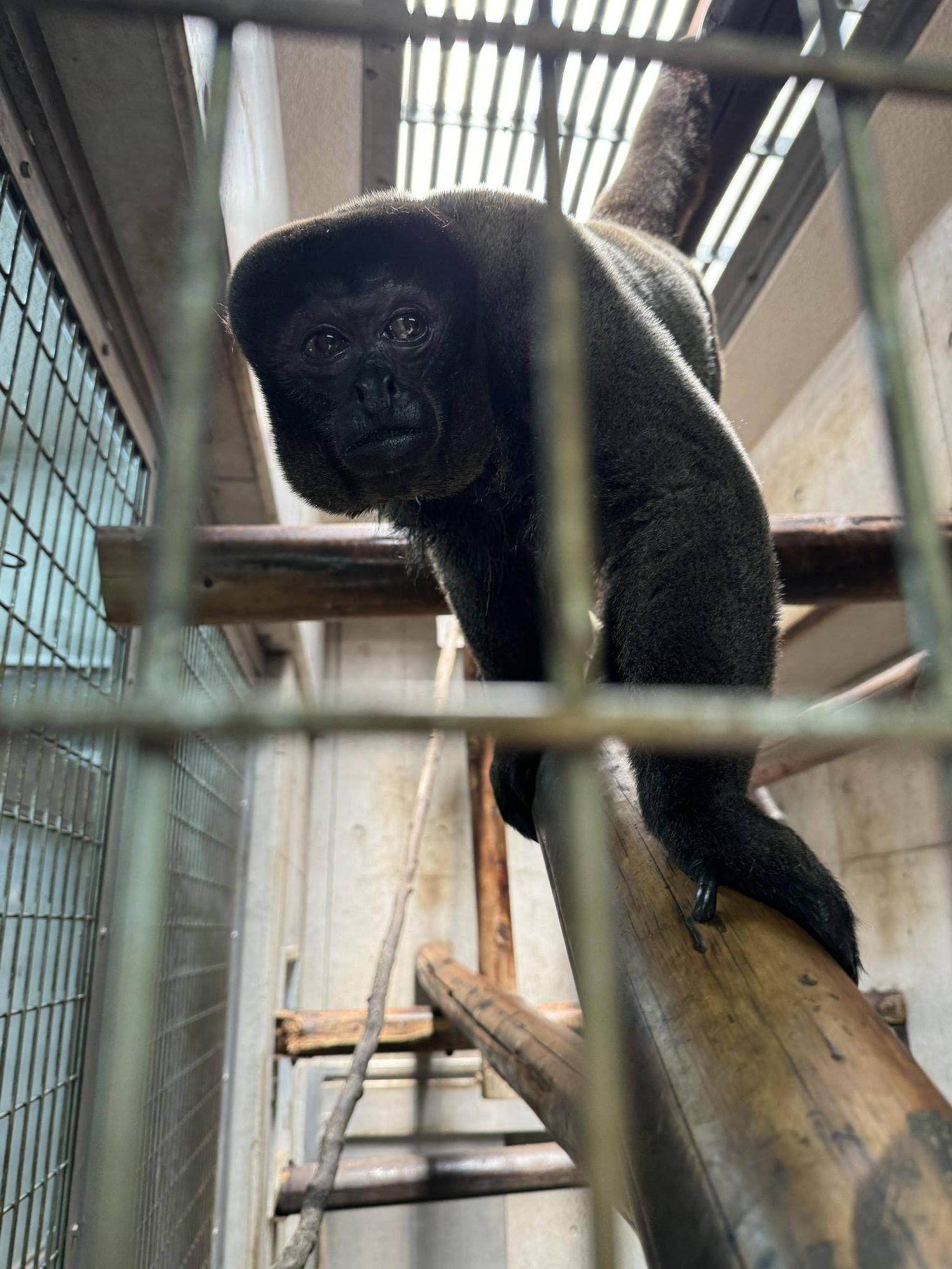 新たに仲間入り１