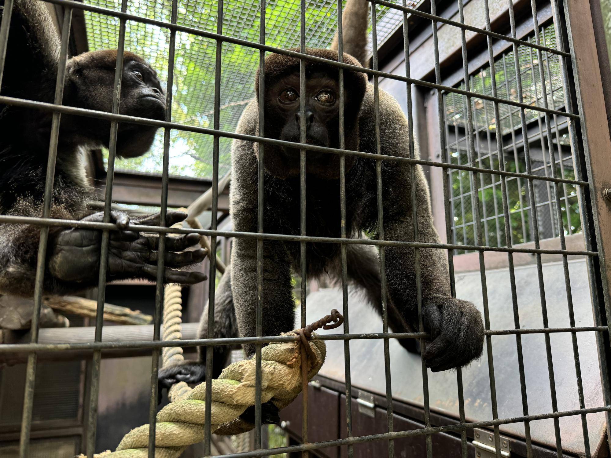 新たに仲間入り4