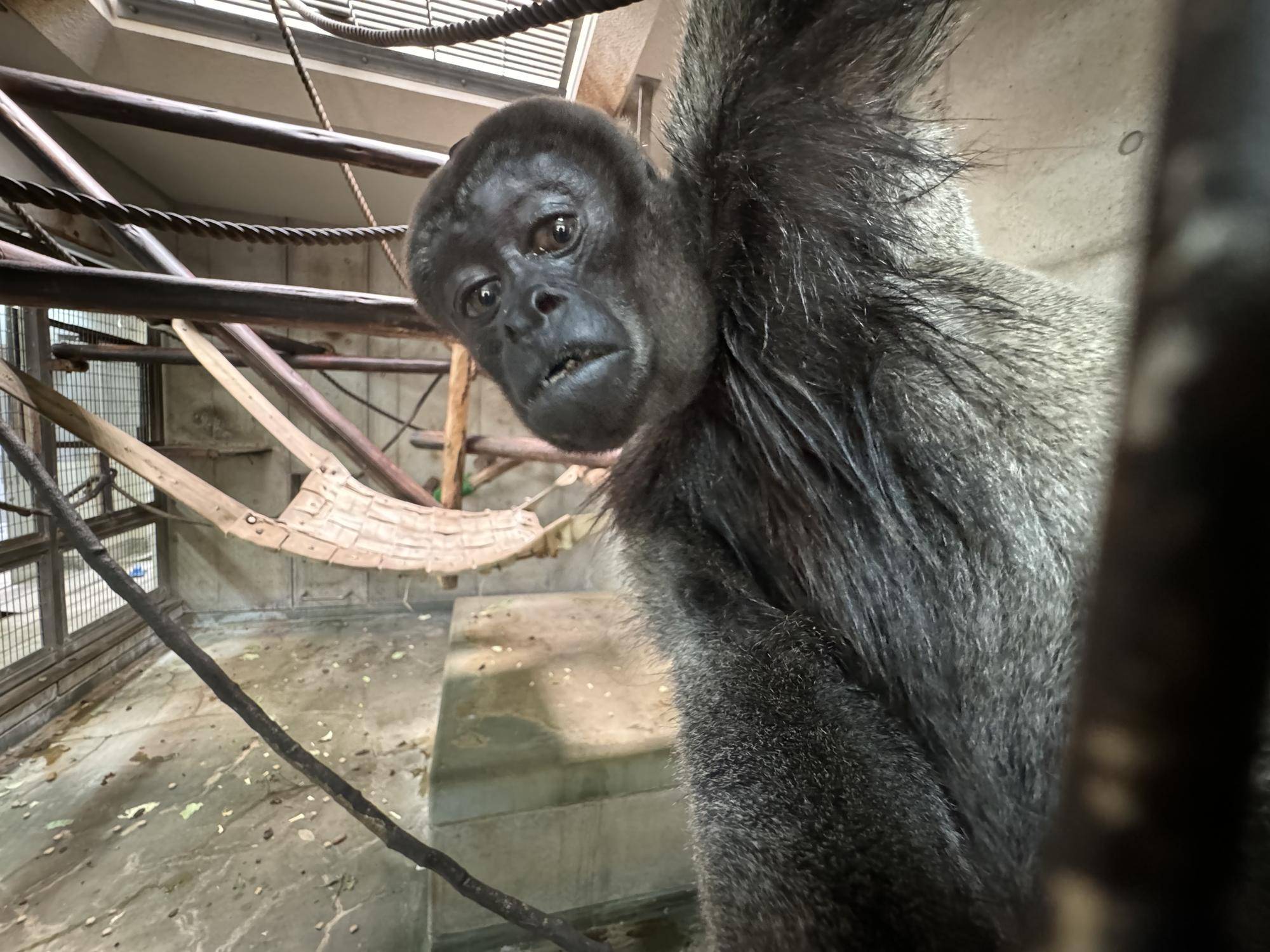 新たに仲間入り5