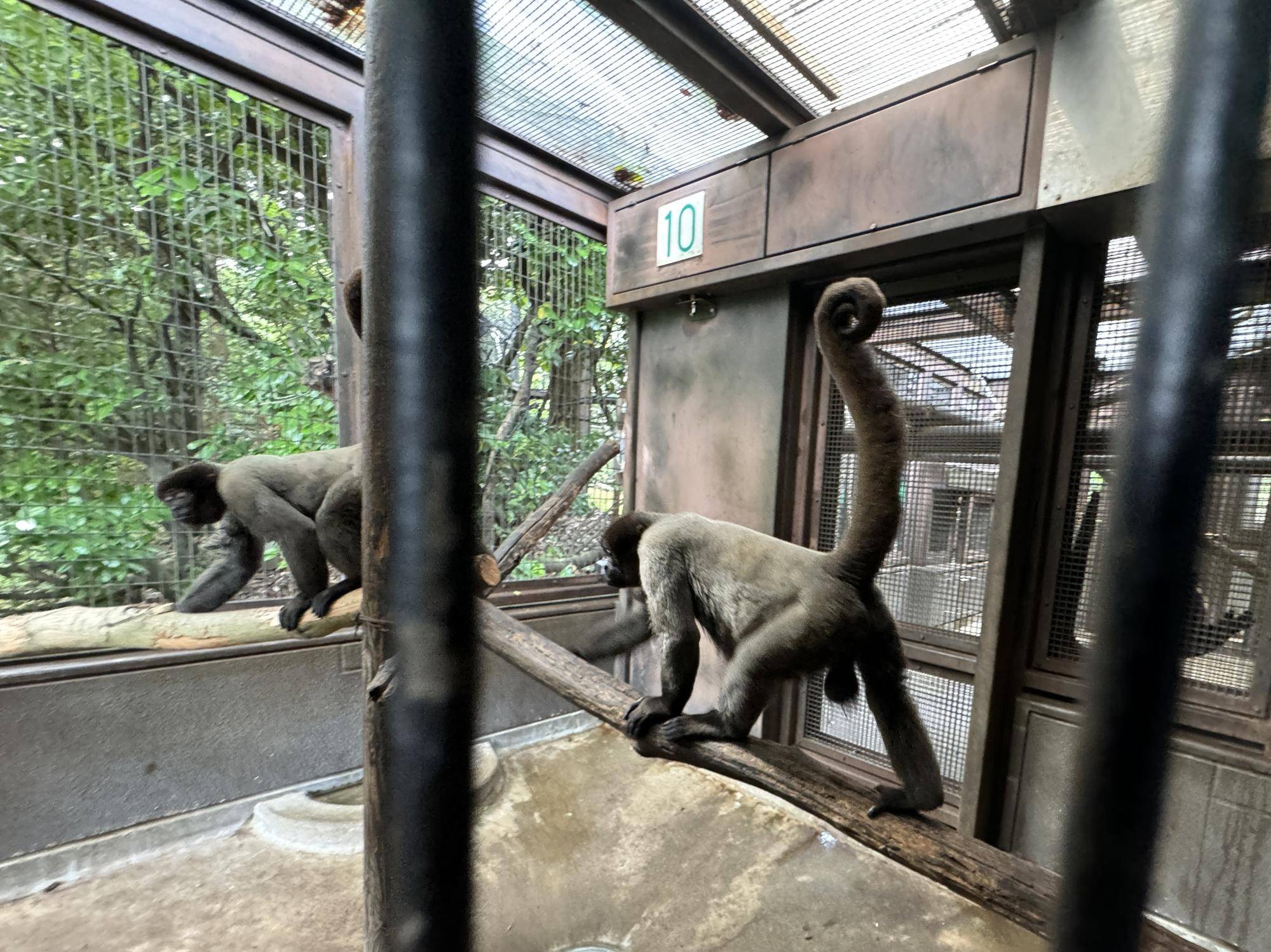 ≪アッサム・ダージリン通信≫全部屋クリア２