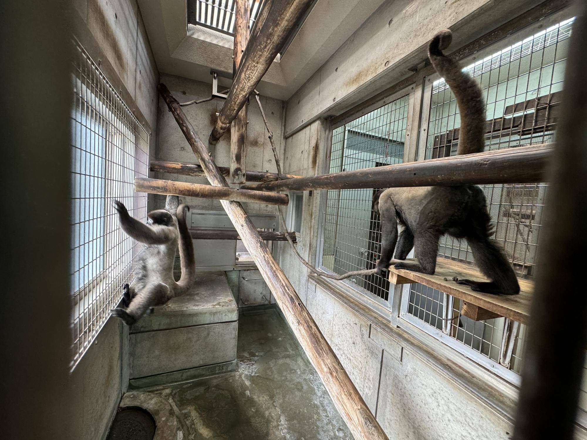 ≪アッサム・ダージリン通信≫全部屋クリア３