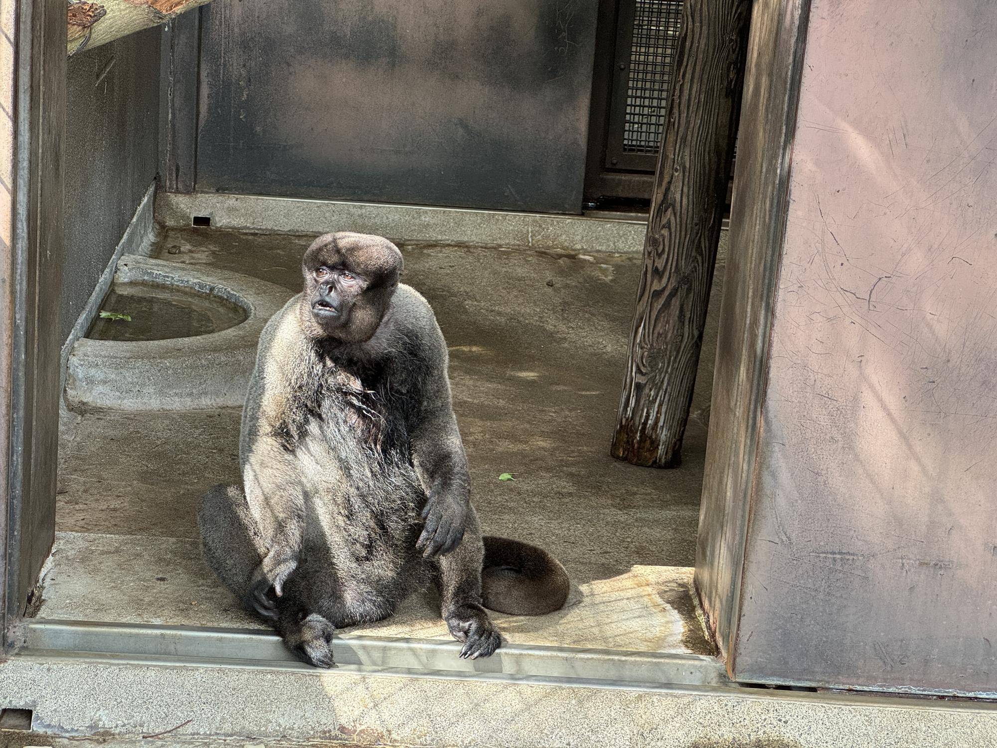 ≪アッサム・ダージリン通信≫全部屋クリア５