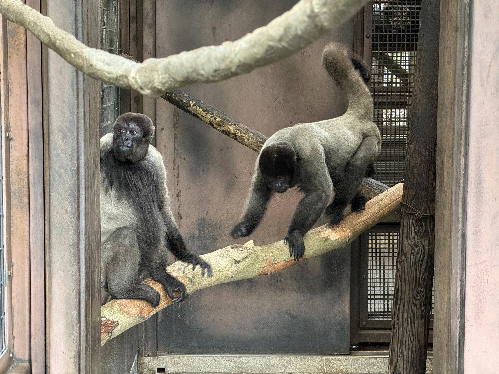 ≪アッサム・ダージリン通信≫全部屋クリア７