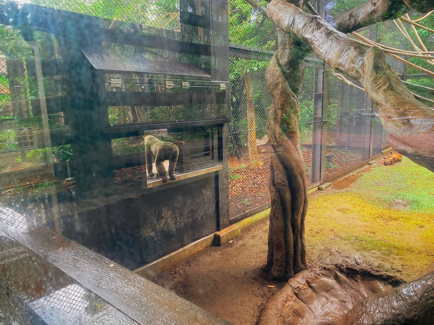 ≪アッサム・ダージリン通信≫展示場デビュー！１