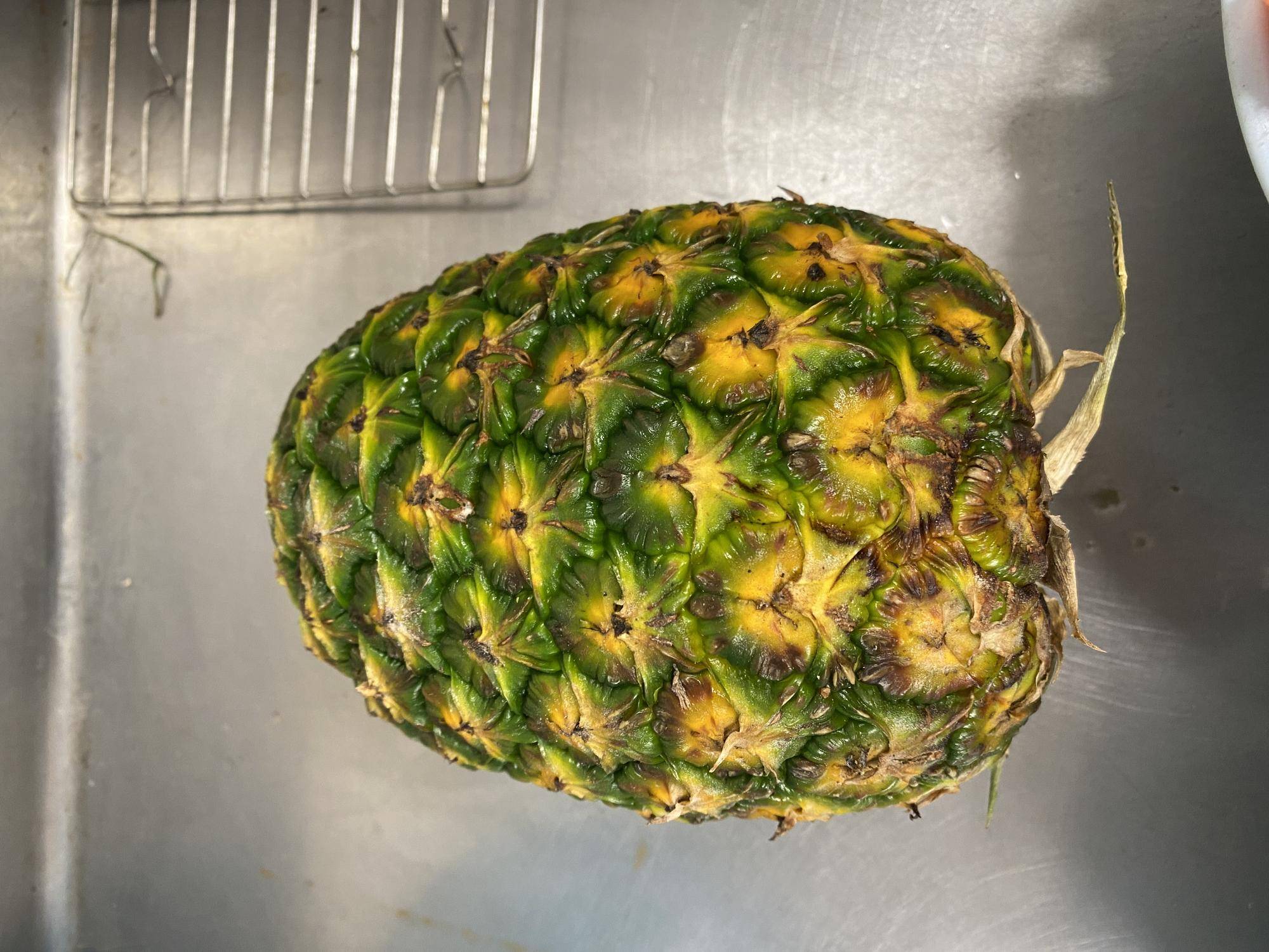 立派なパイナップル.jpg