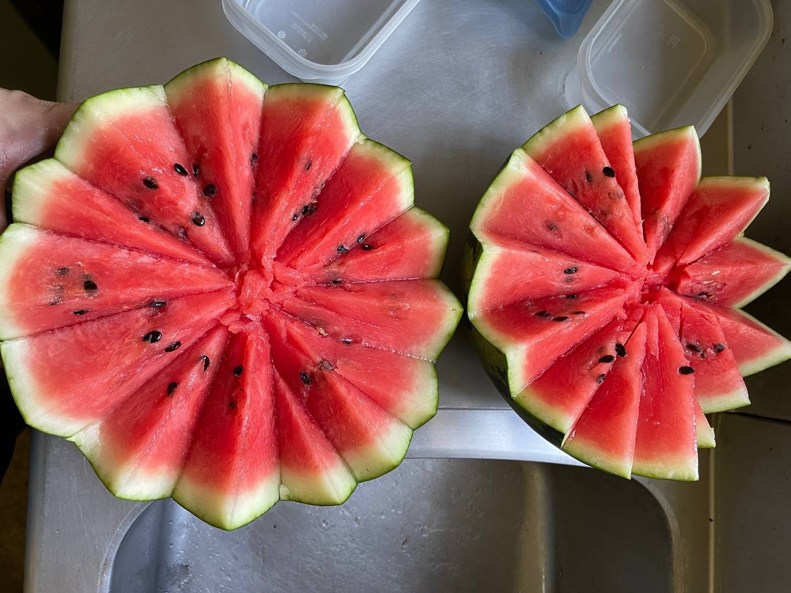 １スイカ.jpg