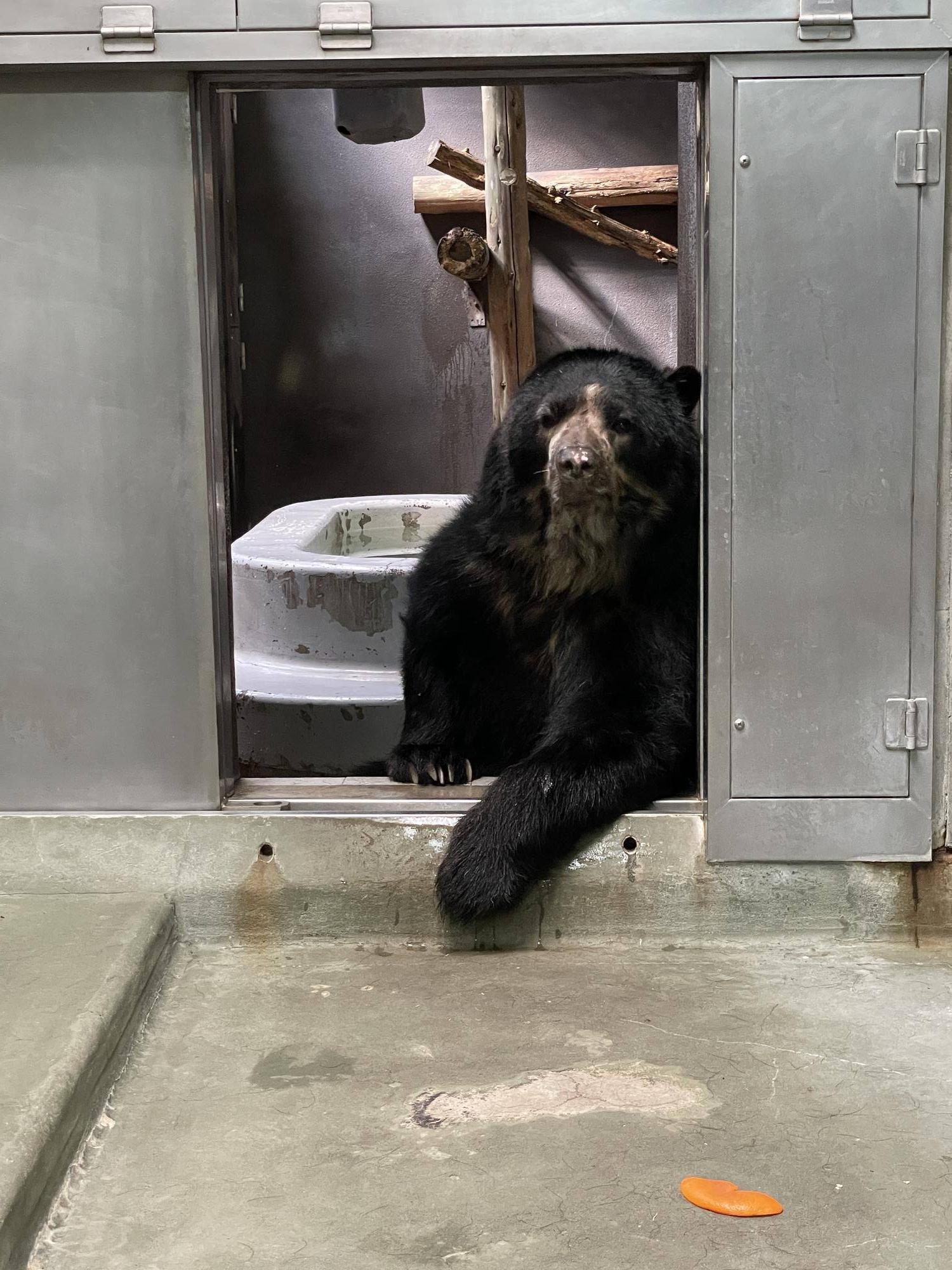 メガネ通信 ルイスは見ている|飼育日誌｜ブログ|よこはま動物園