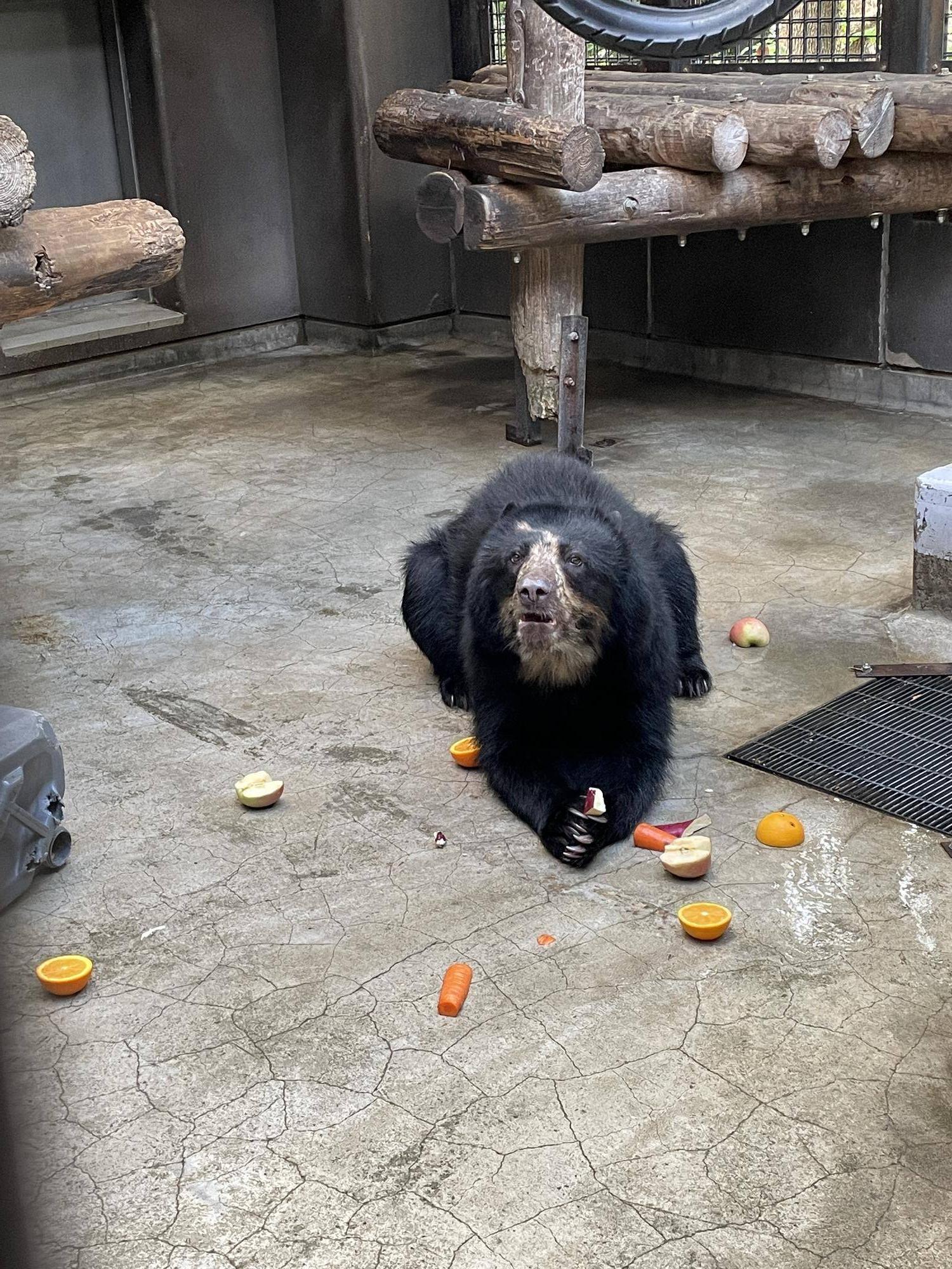 6食べてる.jpg