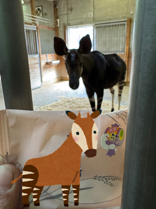 スクリーンショット 2025-01-08 195923.png