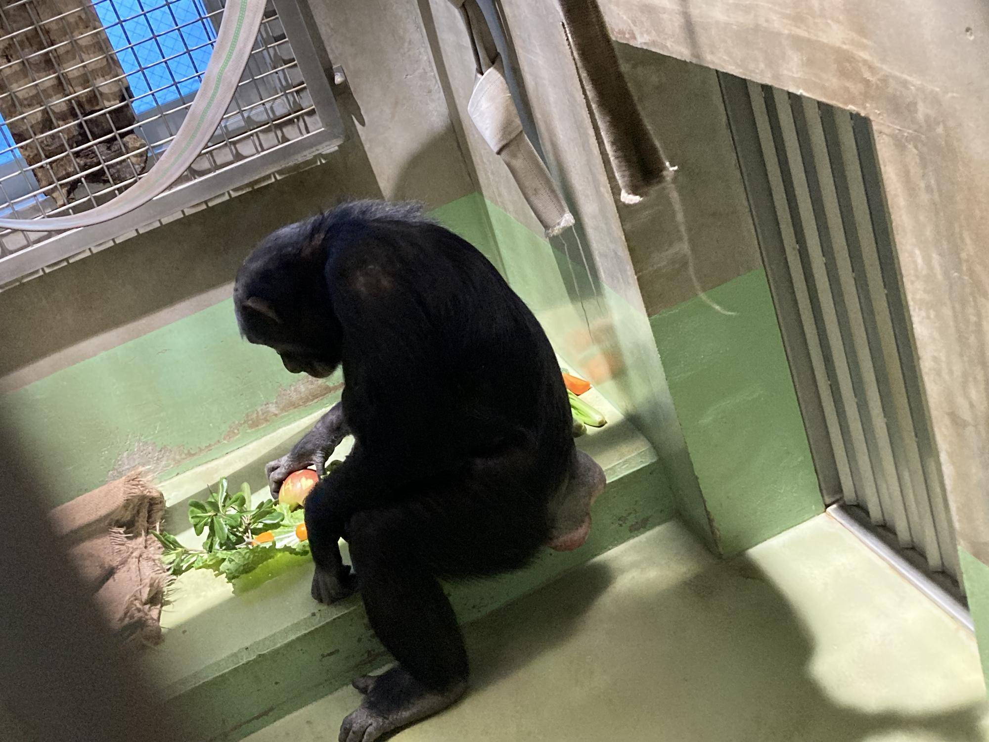 リンゴ、食べる?.jpg
