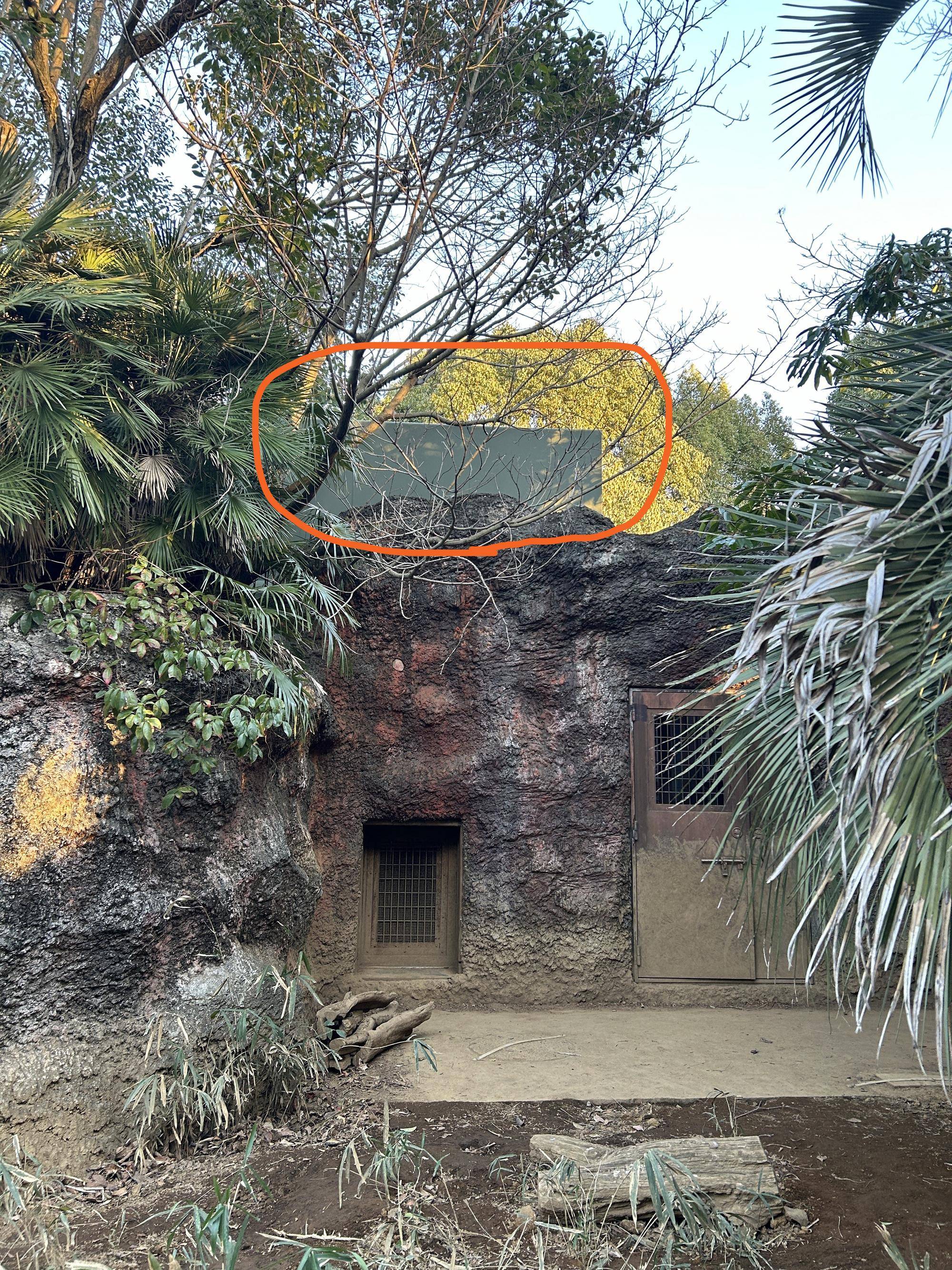 展示場から見えるサブパドックの雨除け