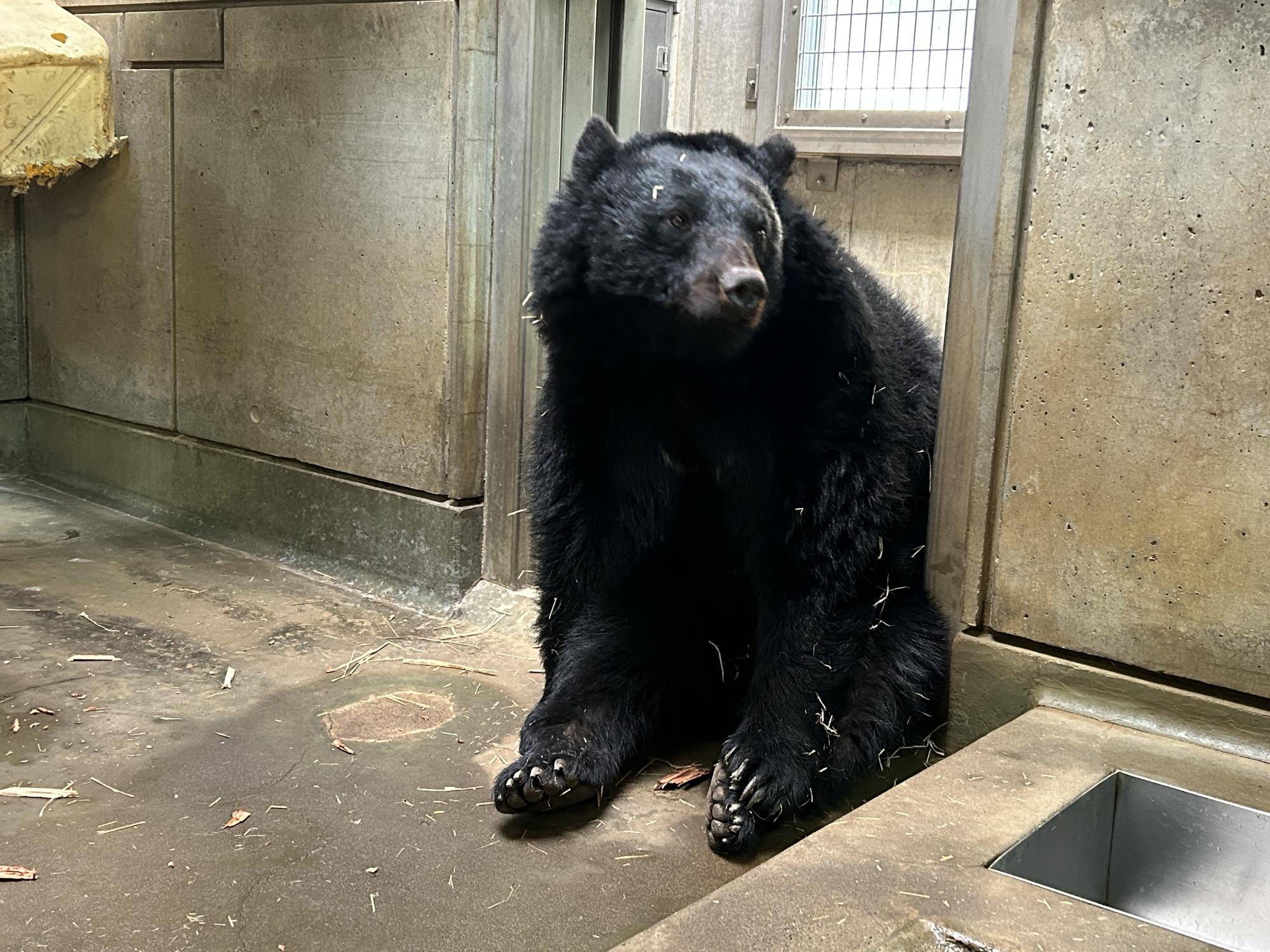 寝室で座っているメリー