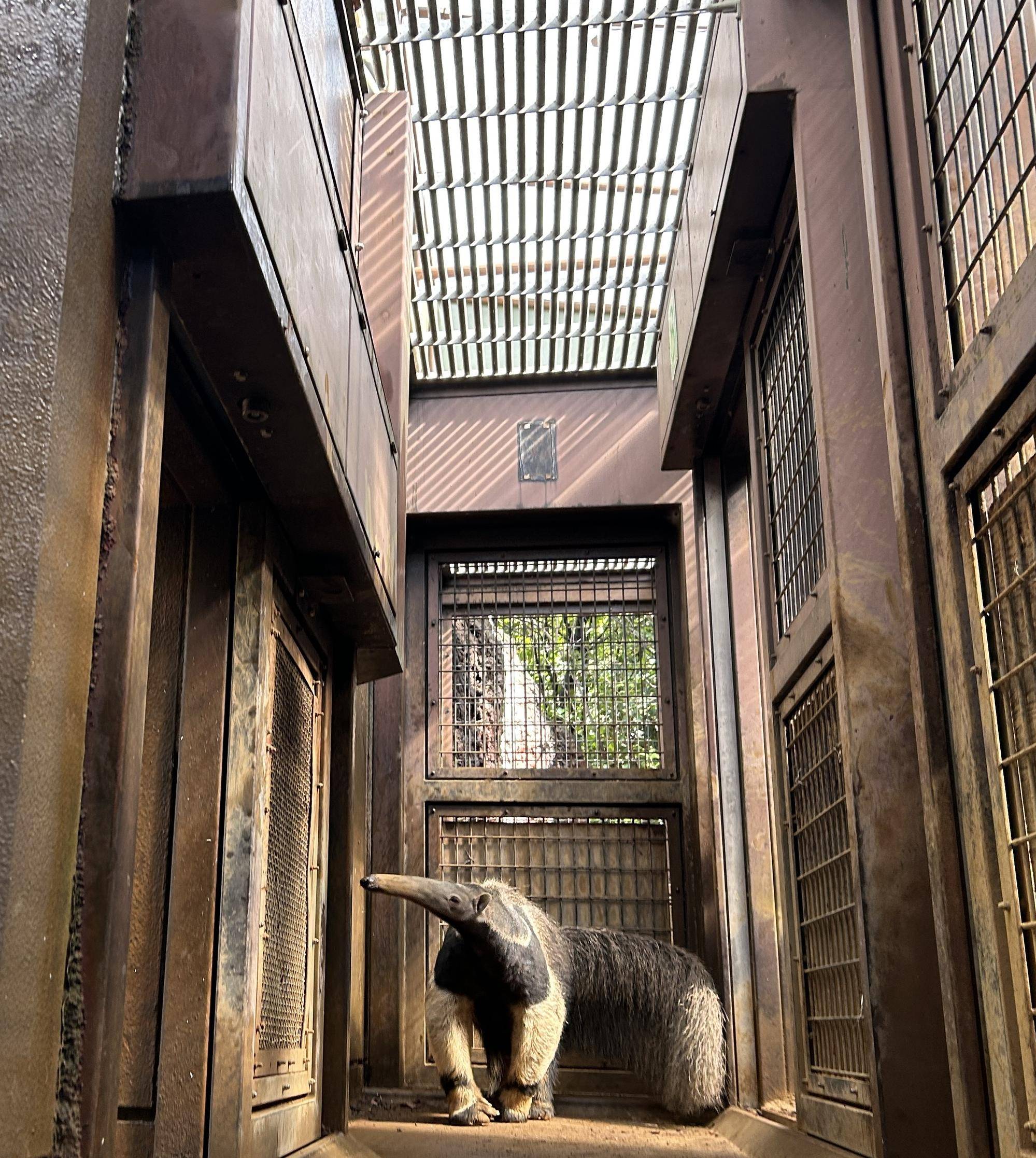 日当たりバッチリなオレオ