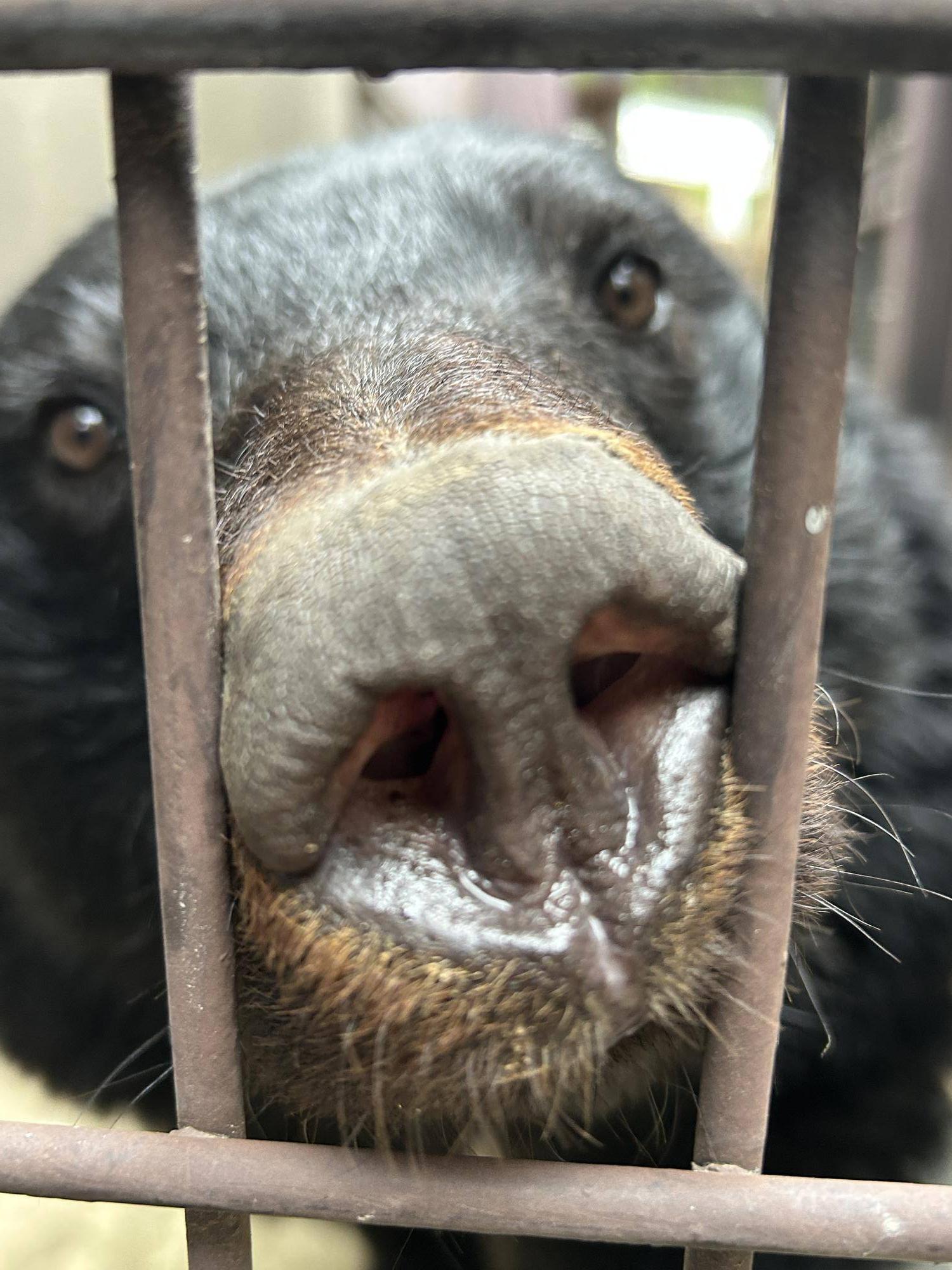 顔がアップのメリー