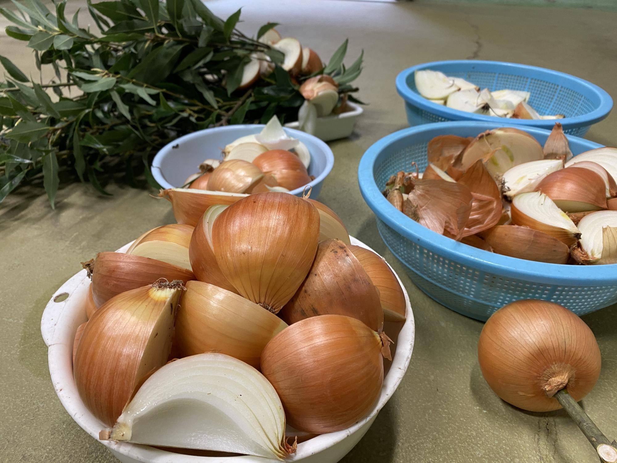 たくさんの玉ねぎ.jpg