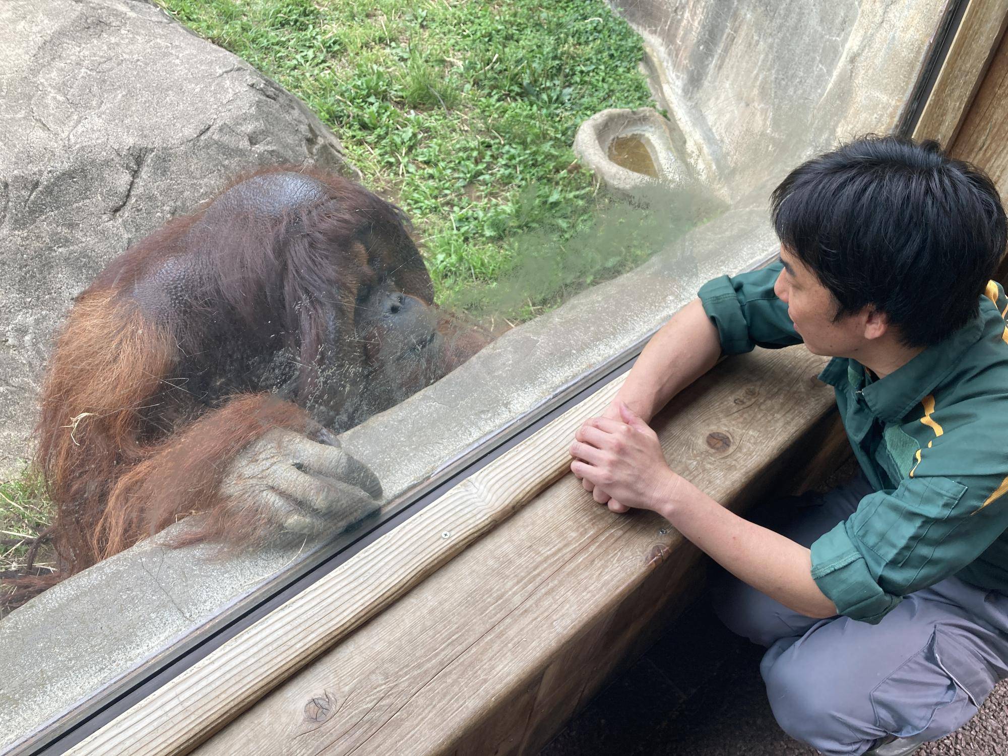 オランウータンのロビン（オス）と雑談？している筆者.jpg