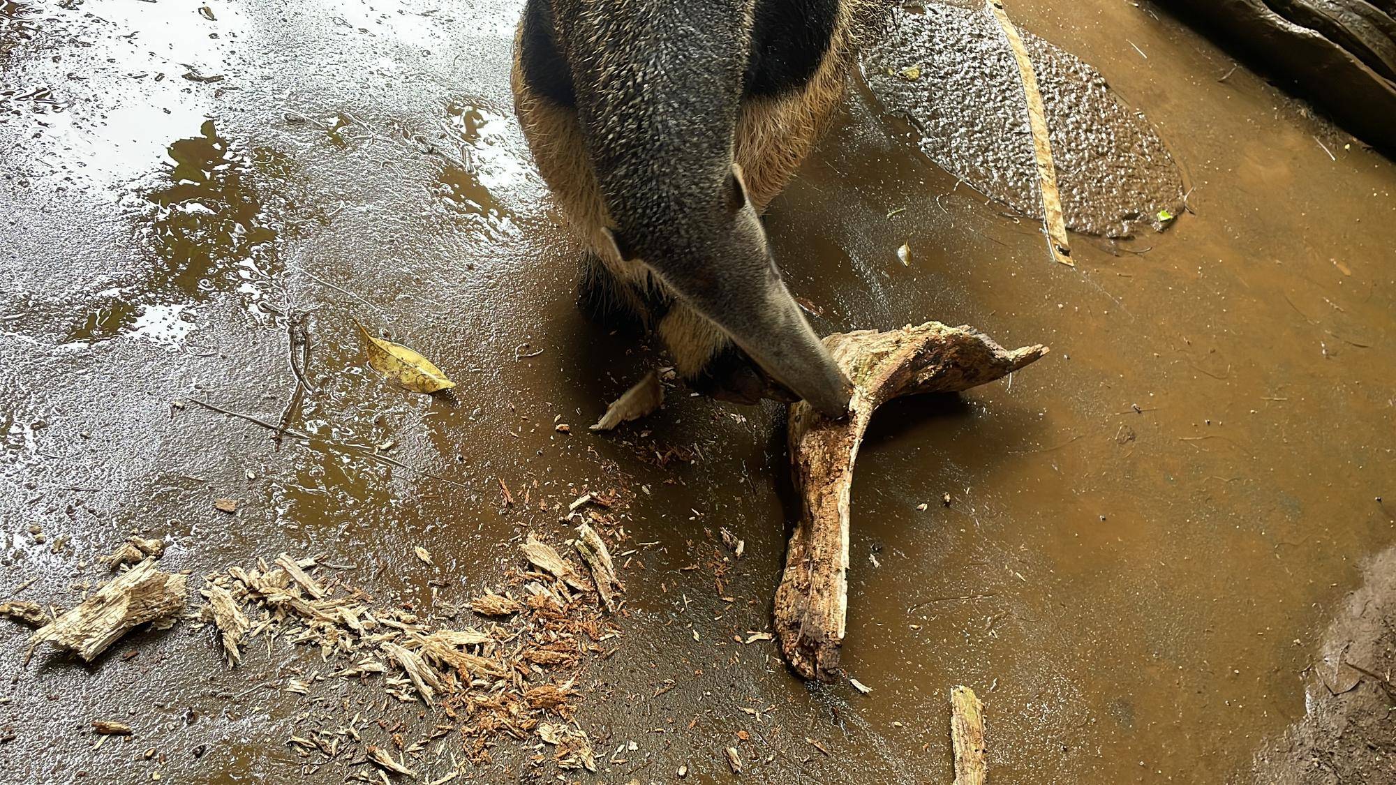 楽しそうなサエ