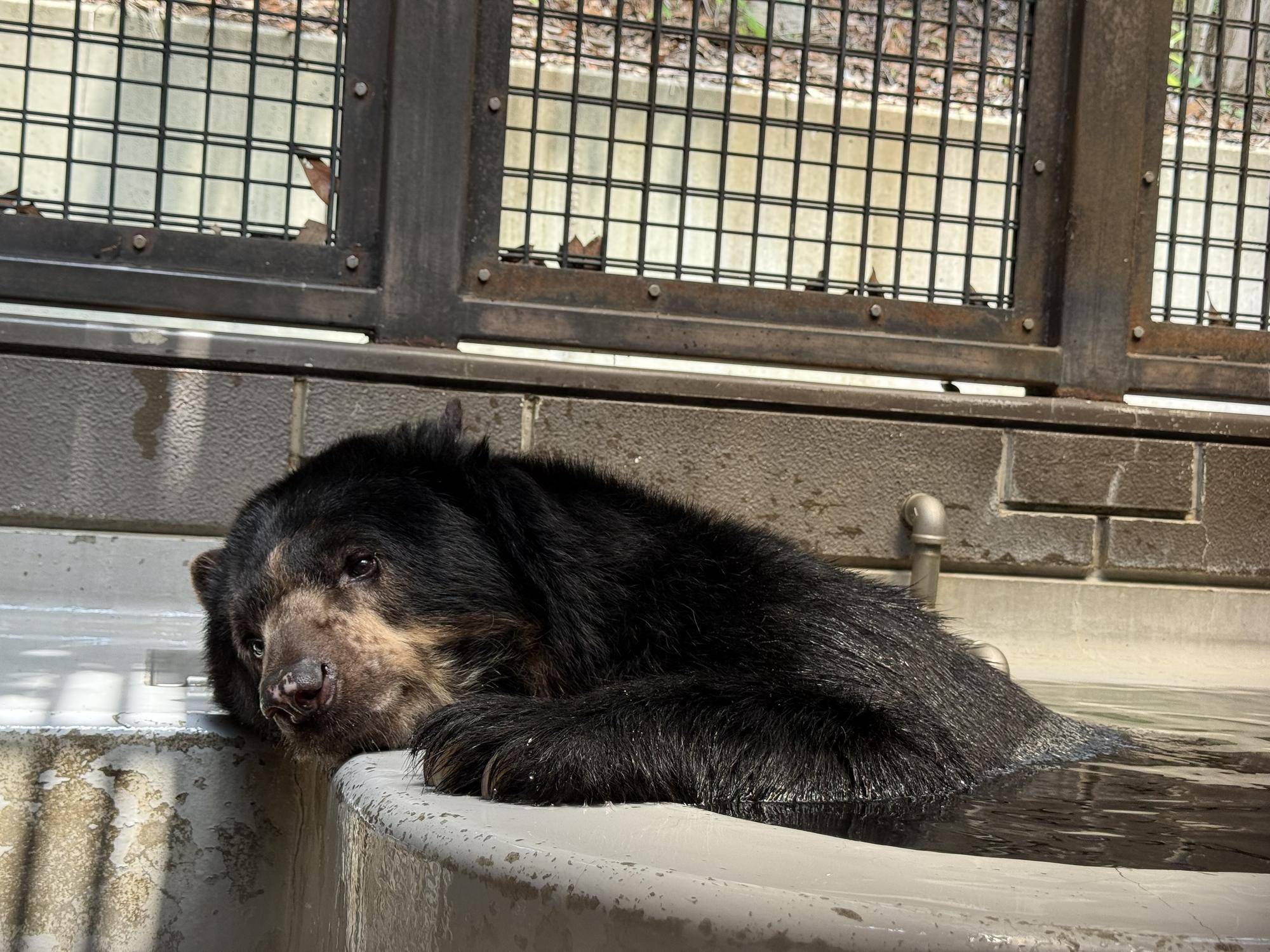 写真 2025-08-06 11 12 25 (1).jpg