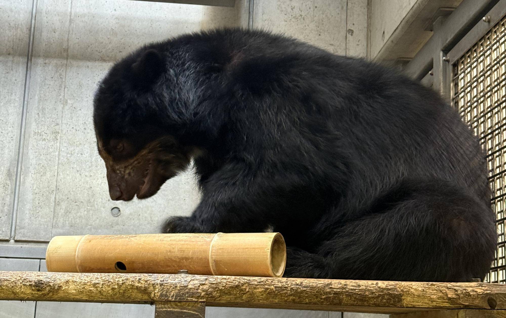 写真 2025-08-20 11 19 03.jpg