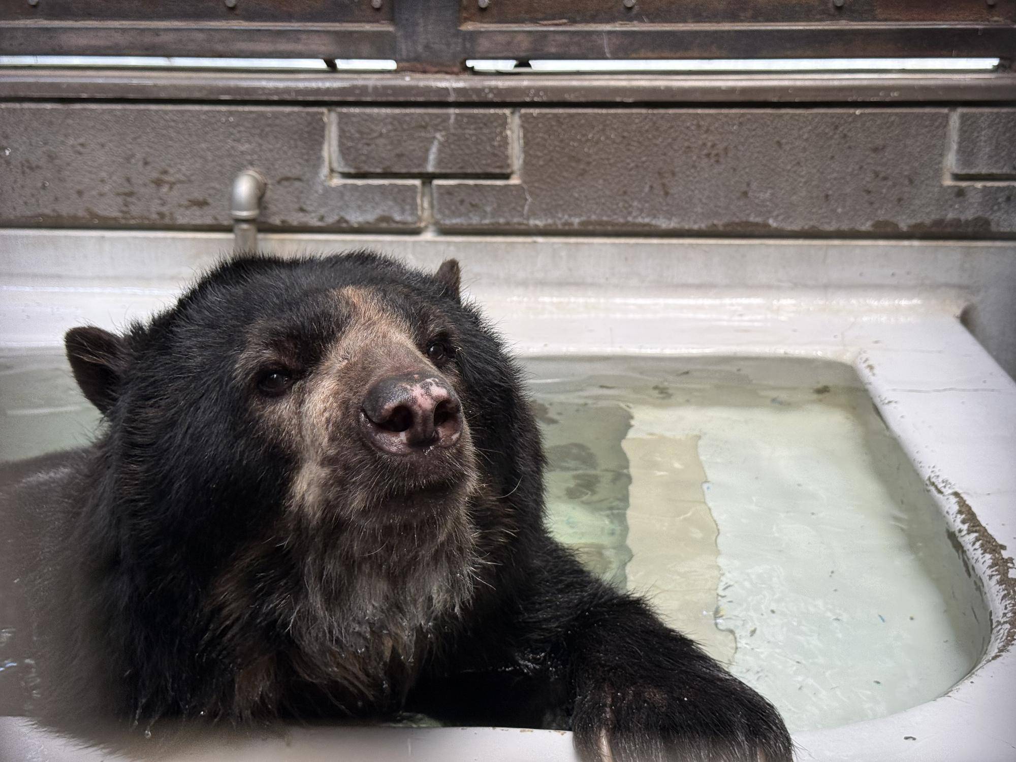 写真 2025-08-06 11 12 56 (1).jpg