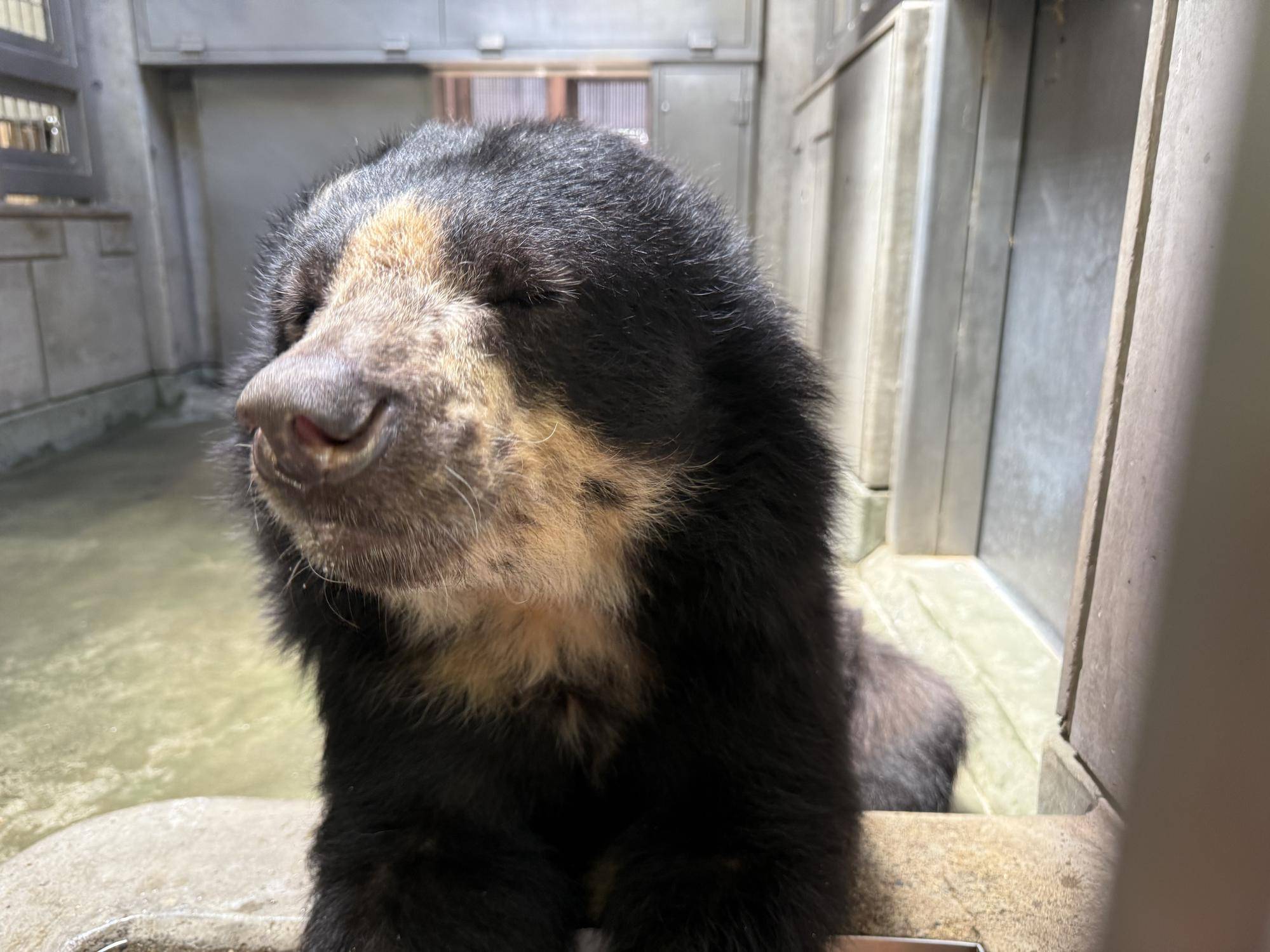 写真 2025-07-25 11 33 42 (1).jpg