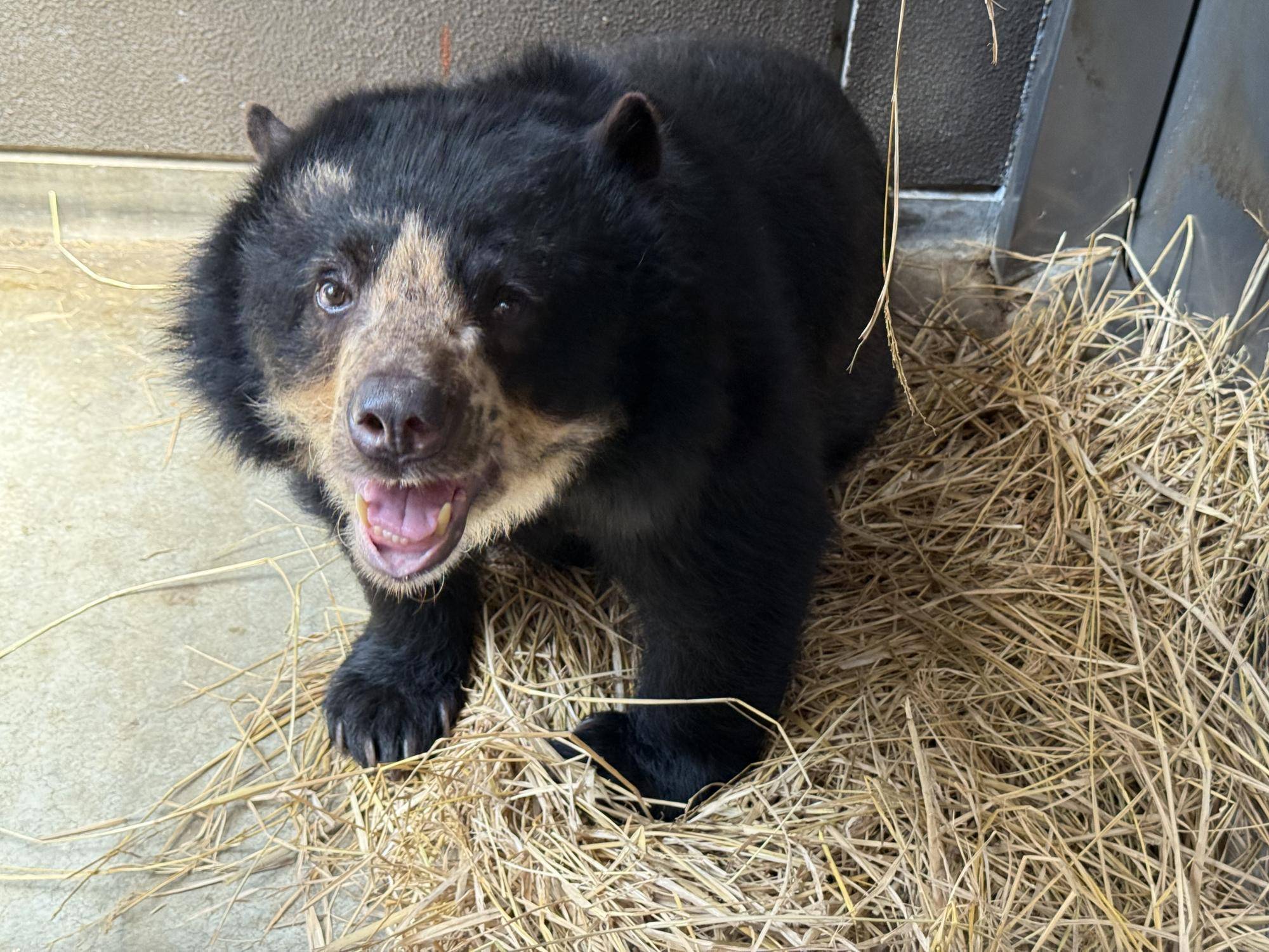 写真 2025-08-06 11 27 59 (1).jpg