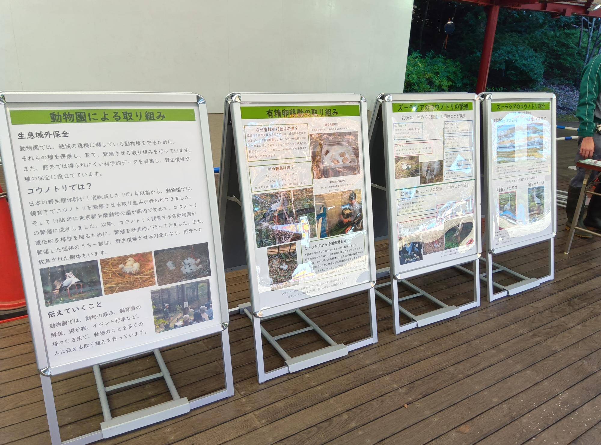 コウノトリまつりinズーラシアを開催しました。1-3(パネル展示).jpg