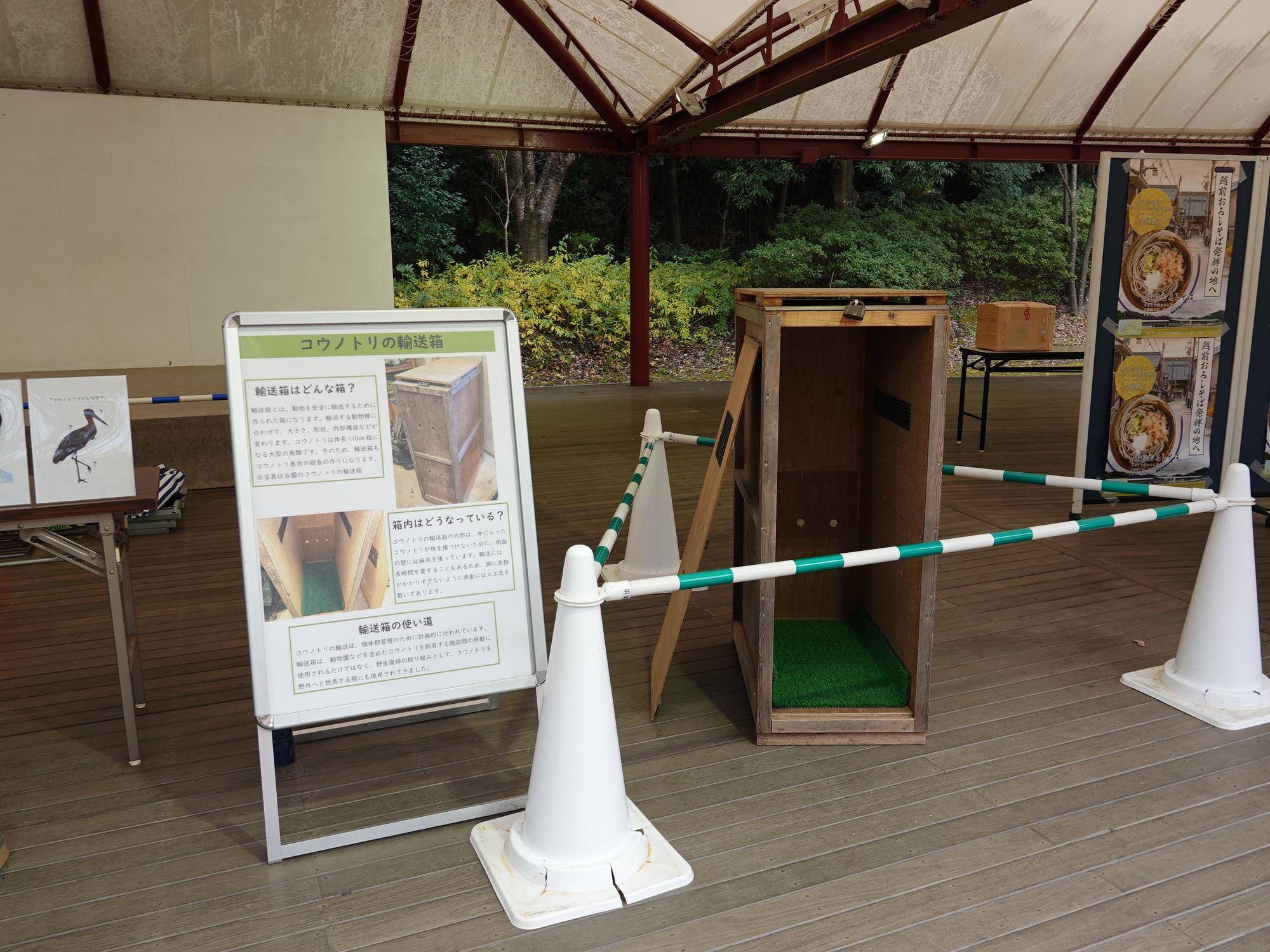 コウノトリまつりinズーラシアを開催しました。1-4(輸送箱展示).jpg